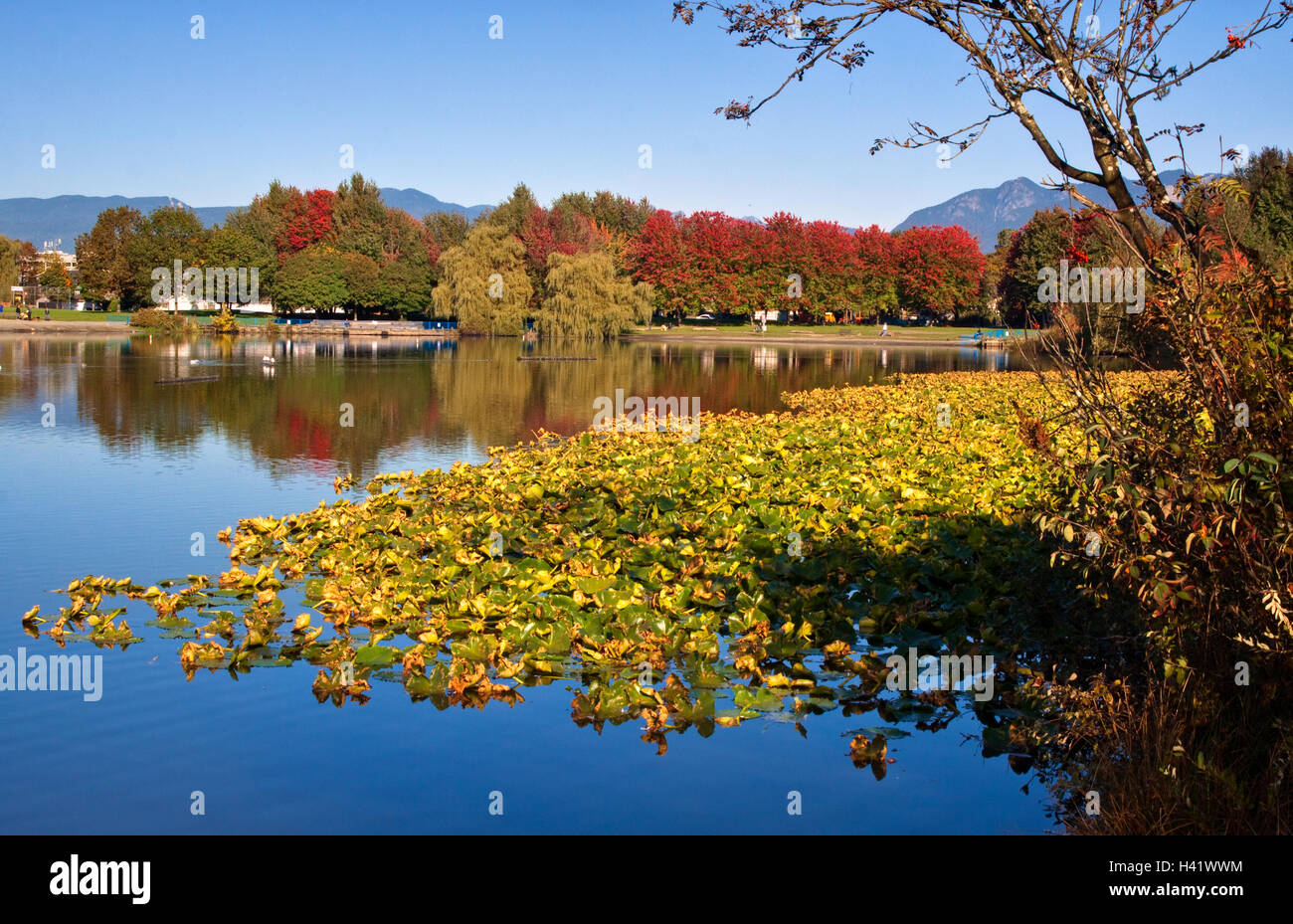 Forellensee im Herbst, Vancouver, Britisch-Kolumbien, Kanada Stockfoto