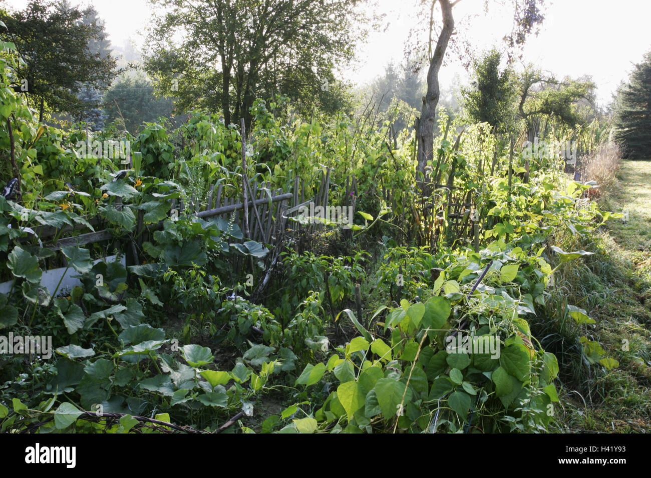Deutschland, Bauerngärten, Gemüsegarten, detail, Europa, Bauernhof