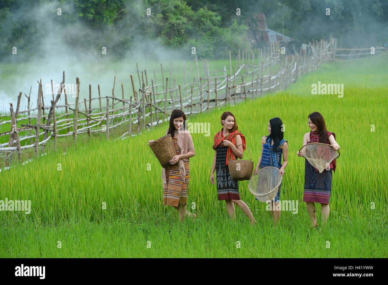 Vier Frauen, die zu Fuß durch ein Reisfeld, Thailand Stockfoto
