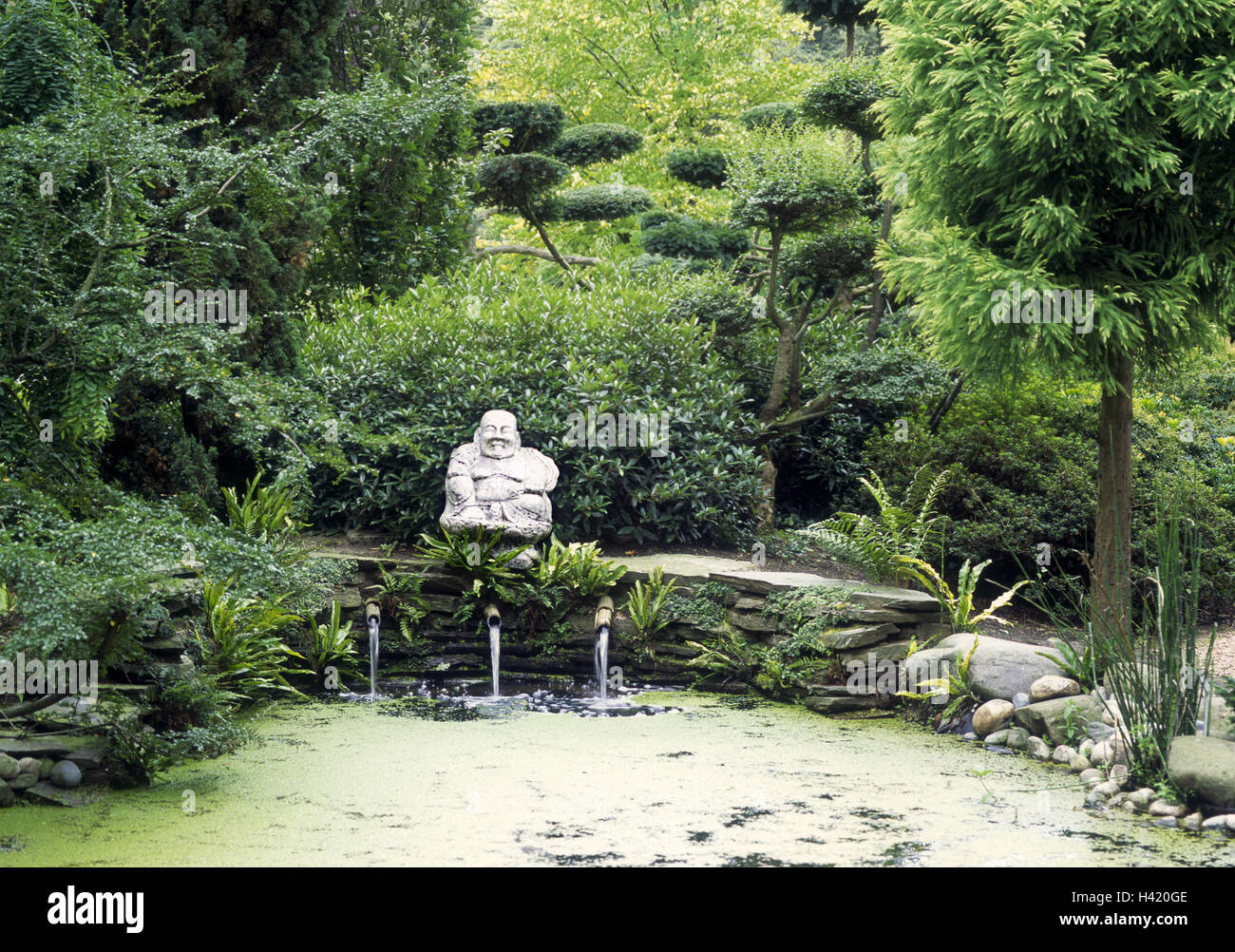 Spostare un cane Fotos und Bildmaterial in hoher Auflösung Alamy