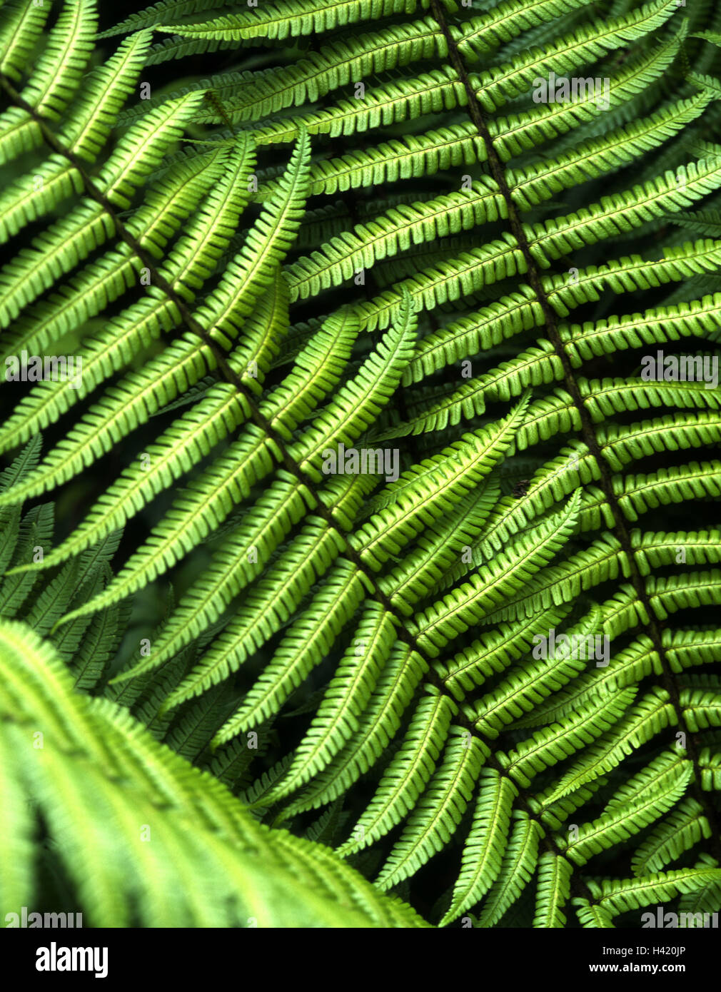 Gleiche Moderation Stockfotos und bilder Kaufen Alamy