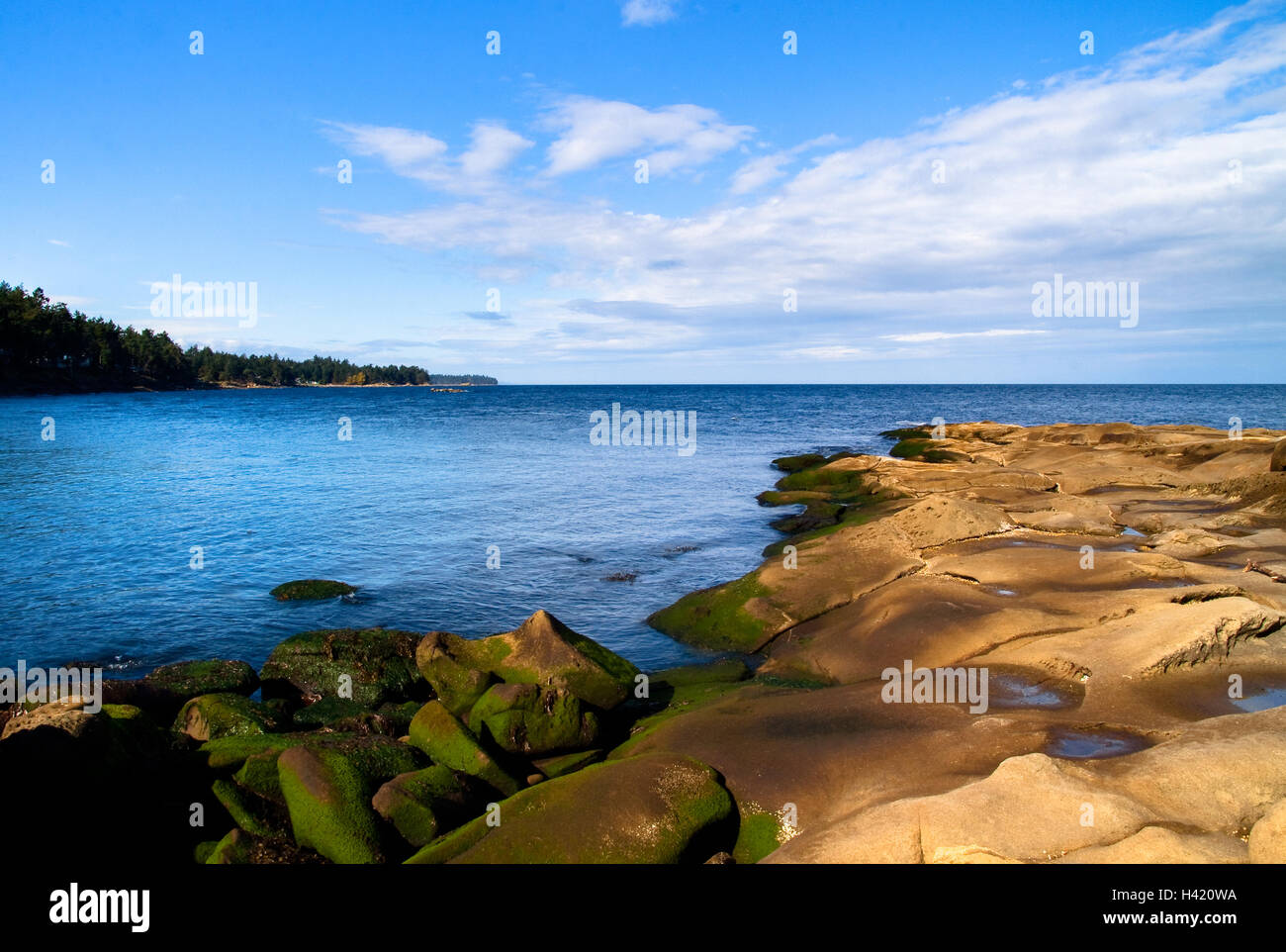 Küste, Mayne Island, British Columbia, Kanada Stockfoto