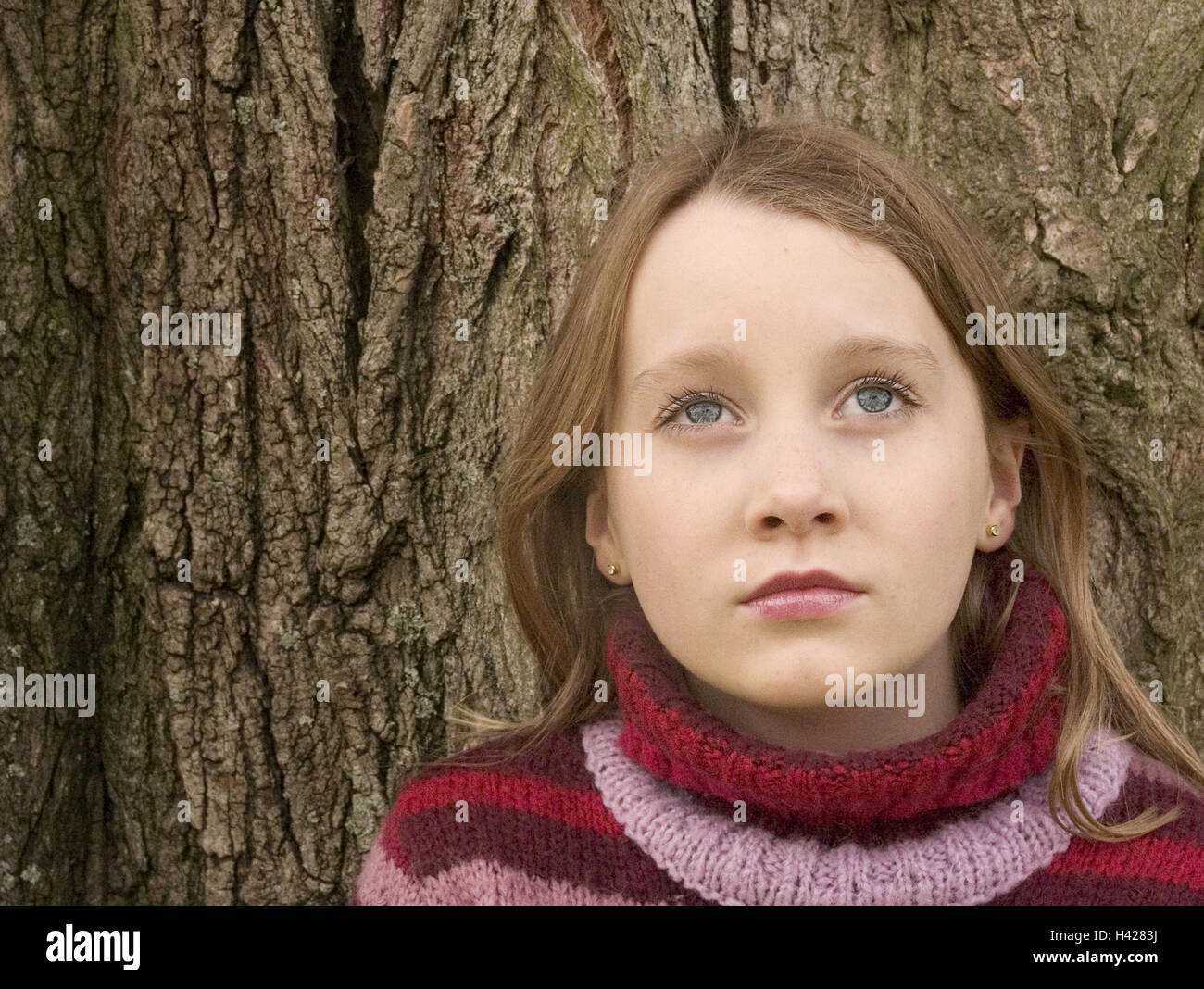 Mädchen, Blond, Baum, lehnt, nachdenklich, Porträt, Serie, 10-15 Jahre, Teenager Mädchen, Teenager,, Seil Pullover, Pullover, berührt, ernst, denkt, leider, Sehnsucht, sorgenvoll, Einsamkeit, fragend, Wartezeiten, Hoffnung, Hintergrund, Log, Rinde, Stockfoto