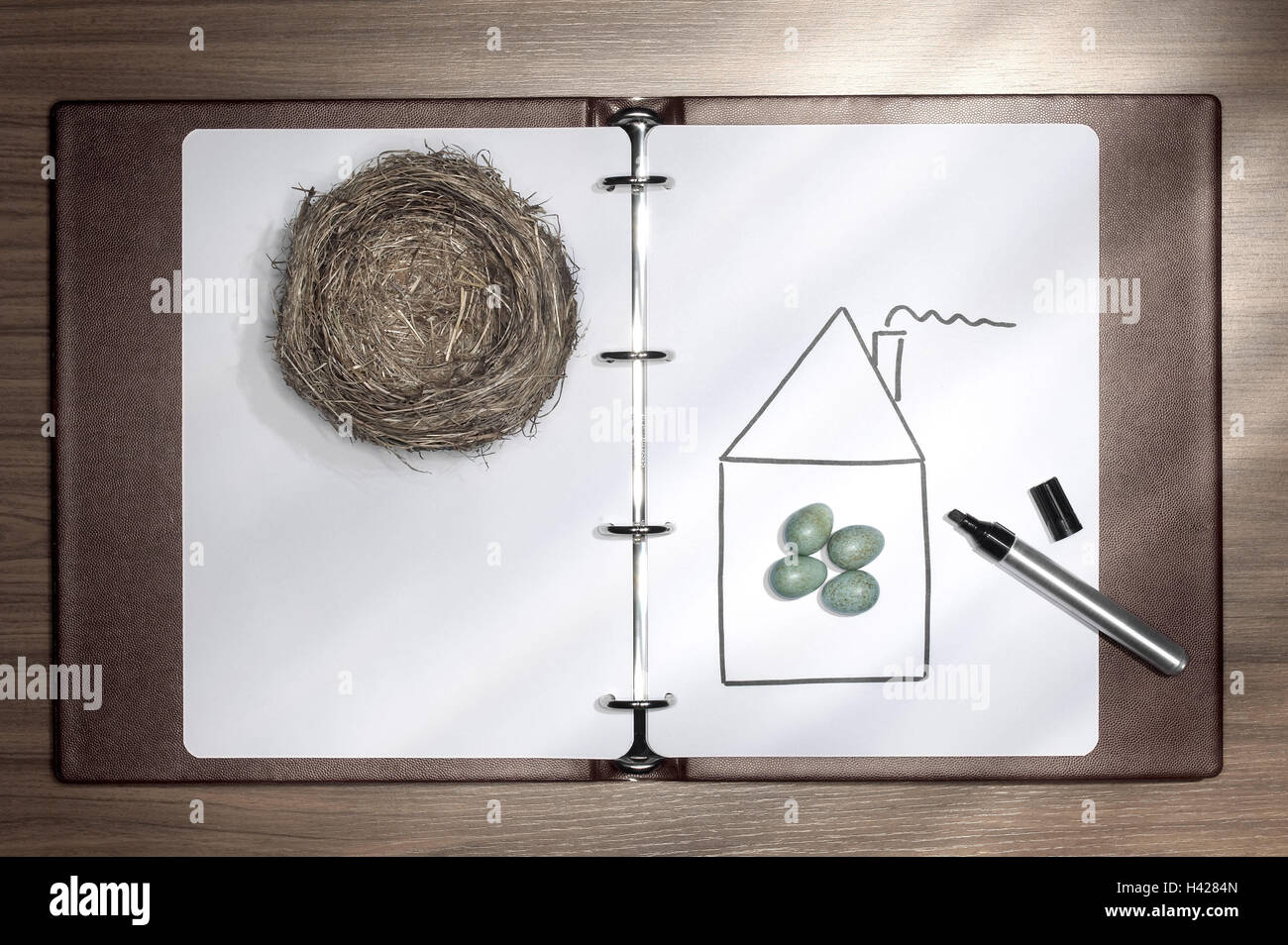 Ordner, Papier, Stift, Vogelnest,, Zeichnung, Haus, Eiern, Arbeitsordner, Seiten, Nest, Vogeleier, Symbol, nachkommen, Erhöhung der Familie, Heimat, Schutz, Sicherheit, Konzept, Hausbau, Bausparen, Zukunft, zu Hause, Bonus, ruhig leben, Tatsache Rezeption Stockfoto