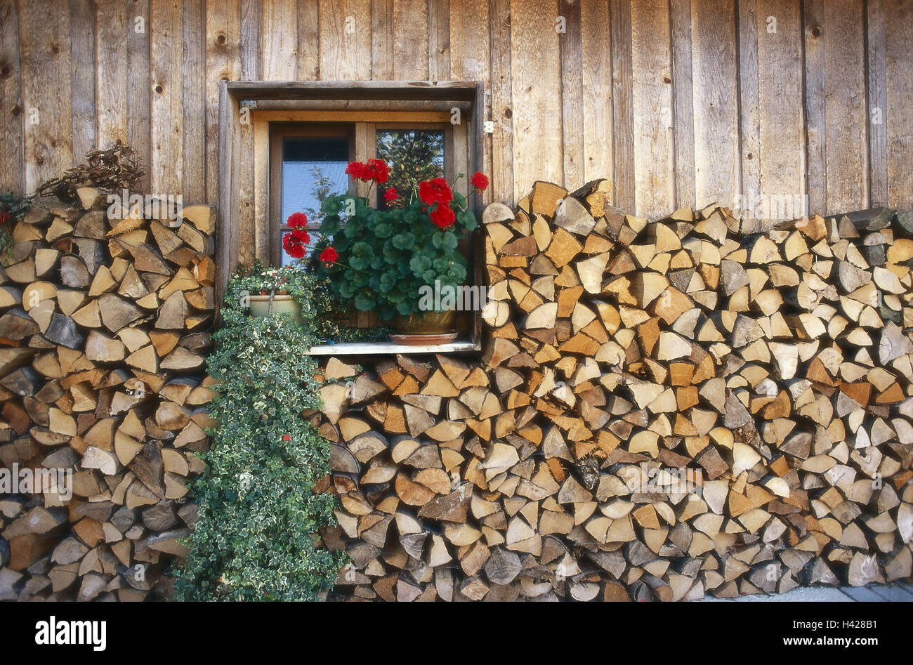 Holzhaus, Detail, Fassade, Fenster, Blume Schmuck, Brennholz, Haus,  Wohnsitz, hlzerne Htte, Holzfassade, Fensterbank, Topf Blume, Geranien,  Efeu, Protokolle, gestapelt, Holz, lndlichen Idyllen, Tatsache Empfang  Stockfotografie - Alamy