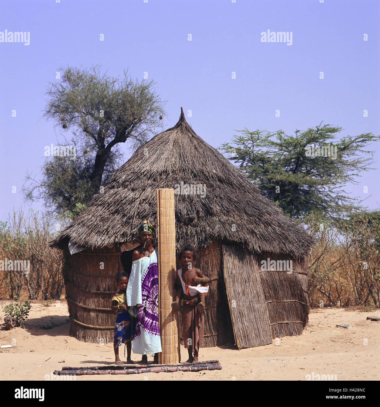 Senegal, Thies Region, Dorf, Strohhütte, Frau, Kinder, Peul Stamm Gruppe Bild, Thies, Senegal, Afrika, Afrika, West Region, Ethnie, Stamm Peul, Menschen, vier, Senegalesen, dunkelhäutige, Mutter, Geschwister, Mädchen, Baby, tragen, Matten, Strohmatten, verdreht, manuelle Arbeit, Flechtarbeit, zeigen, zu präsentieren, darstellen, im Außenbereich Stockfoto