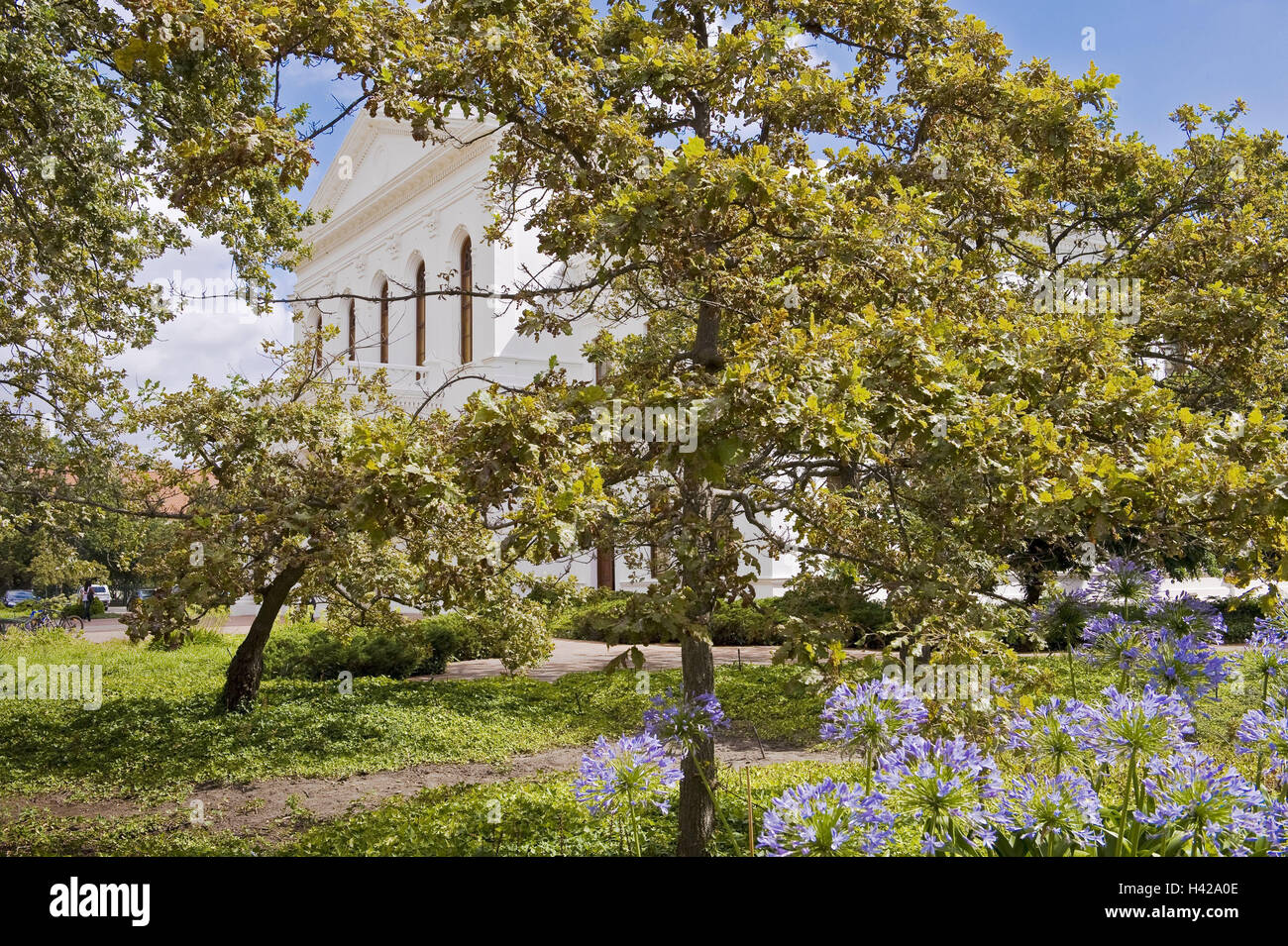 Süden, Afrika, Westkap, Stellenbosch, Universität, Campus, Parken, Afrika, Gebäude, Struktur, Universitätsgebäude, Universitätsviertel, Ausbildung, Studium, Bildungseinrichtung, College, Elite-Universität, Architektur, historisch, Bildungssystem, Schule, Kolonialstil, Kap-in Niederländisch, Reiseziel, Urlaub, Park, Bäume, Blumen, niemand, Wein-Region, der Kapprovinz, Tourismus, Ort von Interesse, idyllisch, Winelands, Garten wünschenswert, Stockfoto