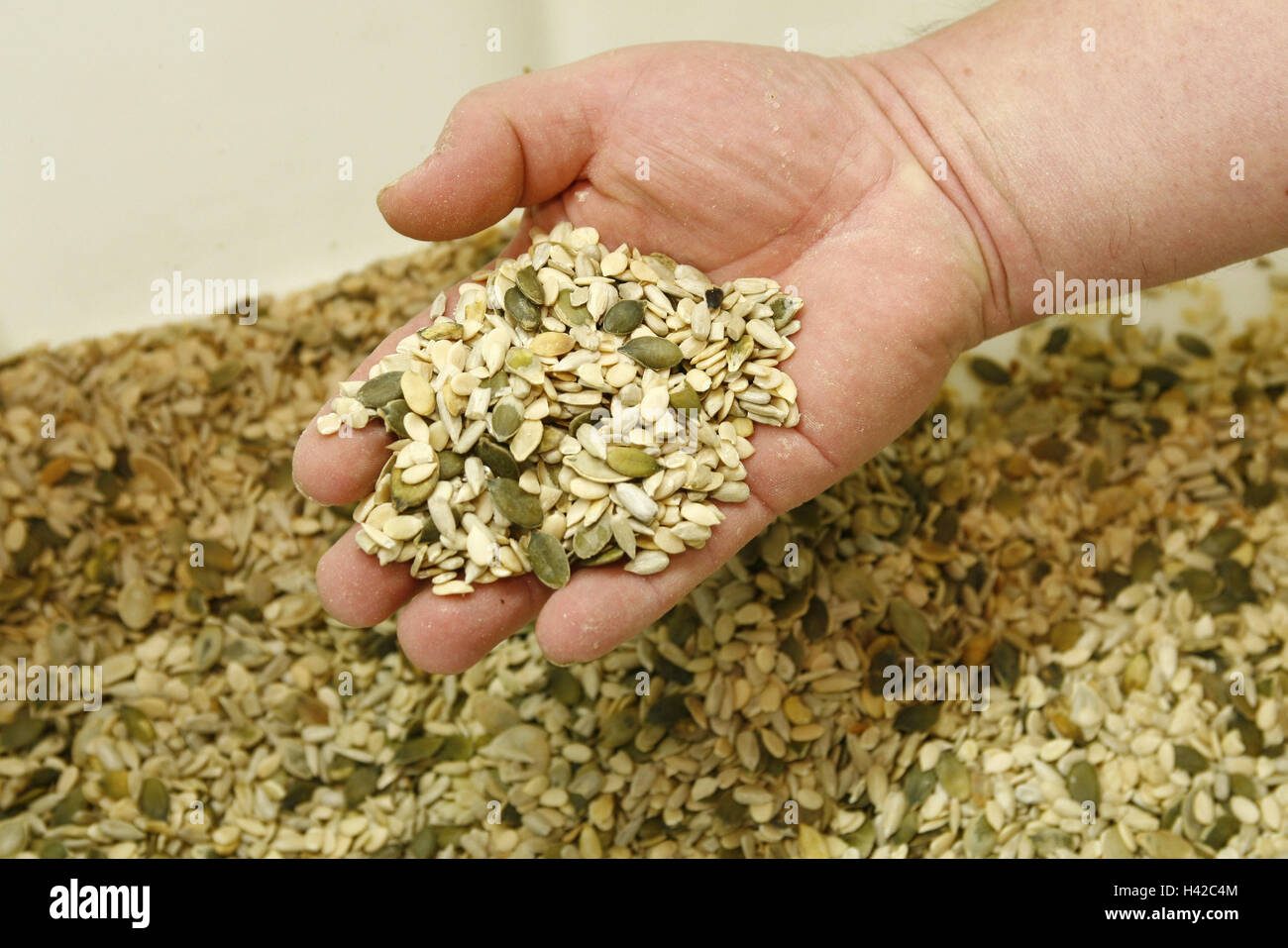 Zutaten Brotproduktion, Hand, Stockfoto