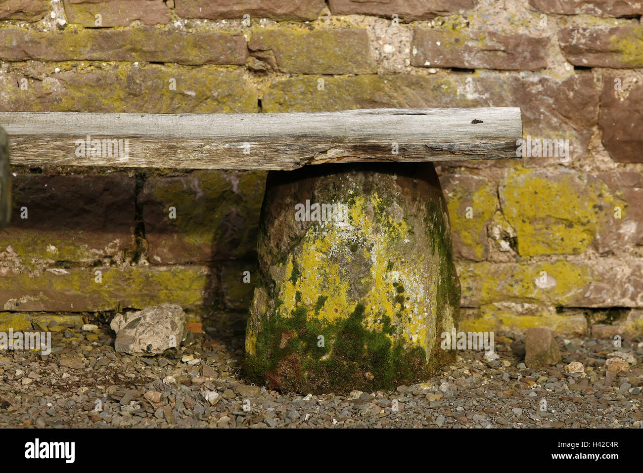 verwitterte Holz Bank, Detail, Stockfoto