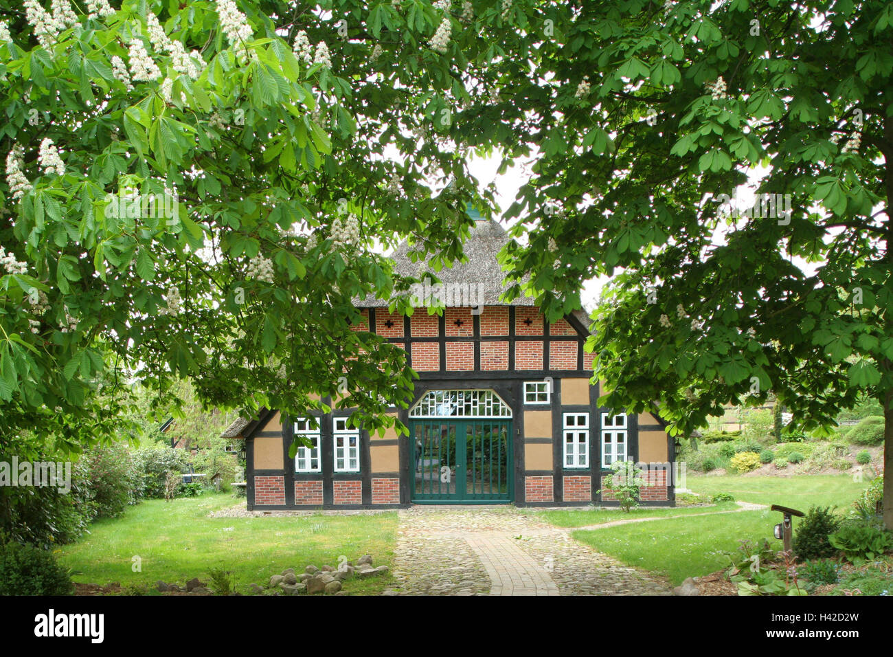 Deutschland, Niedersachsen, Dötlingen, Bauernhaus, Fachwerk