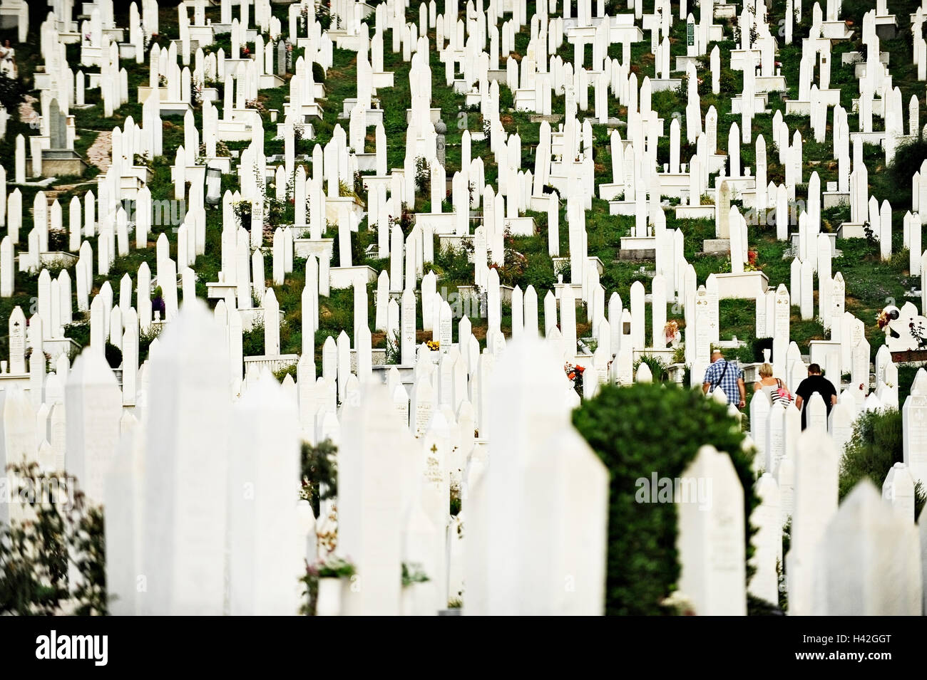 Muslimische Gräber auf dem Friedhof, gewidmet den Opfern der Belagerung von Sarajevo Stockfoto
