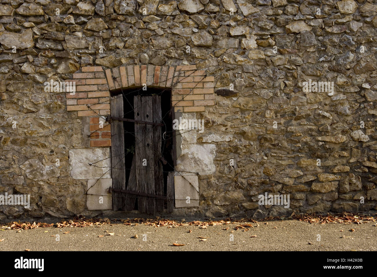 Pays De La Loire, Sarthe, Frankreich, Le Lude, Wehrmauer der Burg, Detail, Nebeneingang, Holztür, zerfallen, behindert, Stockfoto