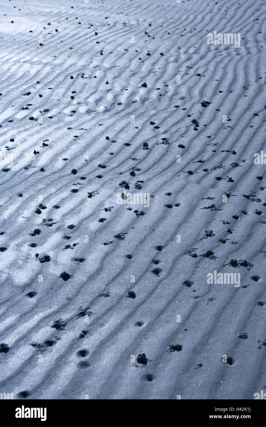 Strand, Sand, Watt Würmer, Interpretation Marina, Wurm Spuren, Stockfoto