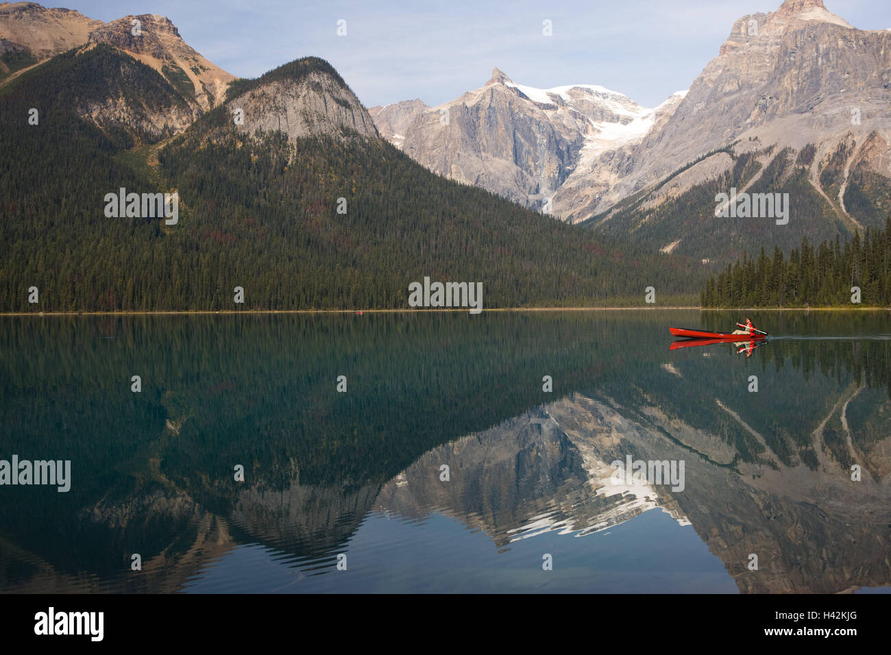 Kanada, British Columbia, Yoho National park, Emerald Lake, Mann, Kanu, Spiegelung, Yoho-Nationalpark, Aktivität, Berge, Bäume, Freizeit, Hobby, Urlaub, Freizeit Zeit Sport, Boot, Berge, Paddeln, Outdoor-Abenteuer, Gewässer, Kanute, See, Wasser, Wasser spiegeln, Sport, Tourismus, Person, Tourist, Fortbewegung, einzige, Holz, Natur, Stockfoto