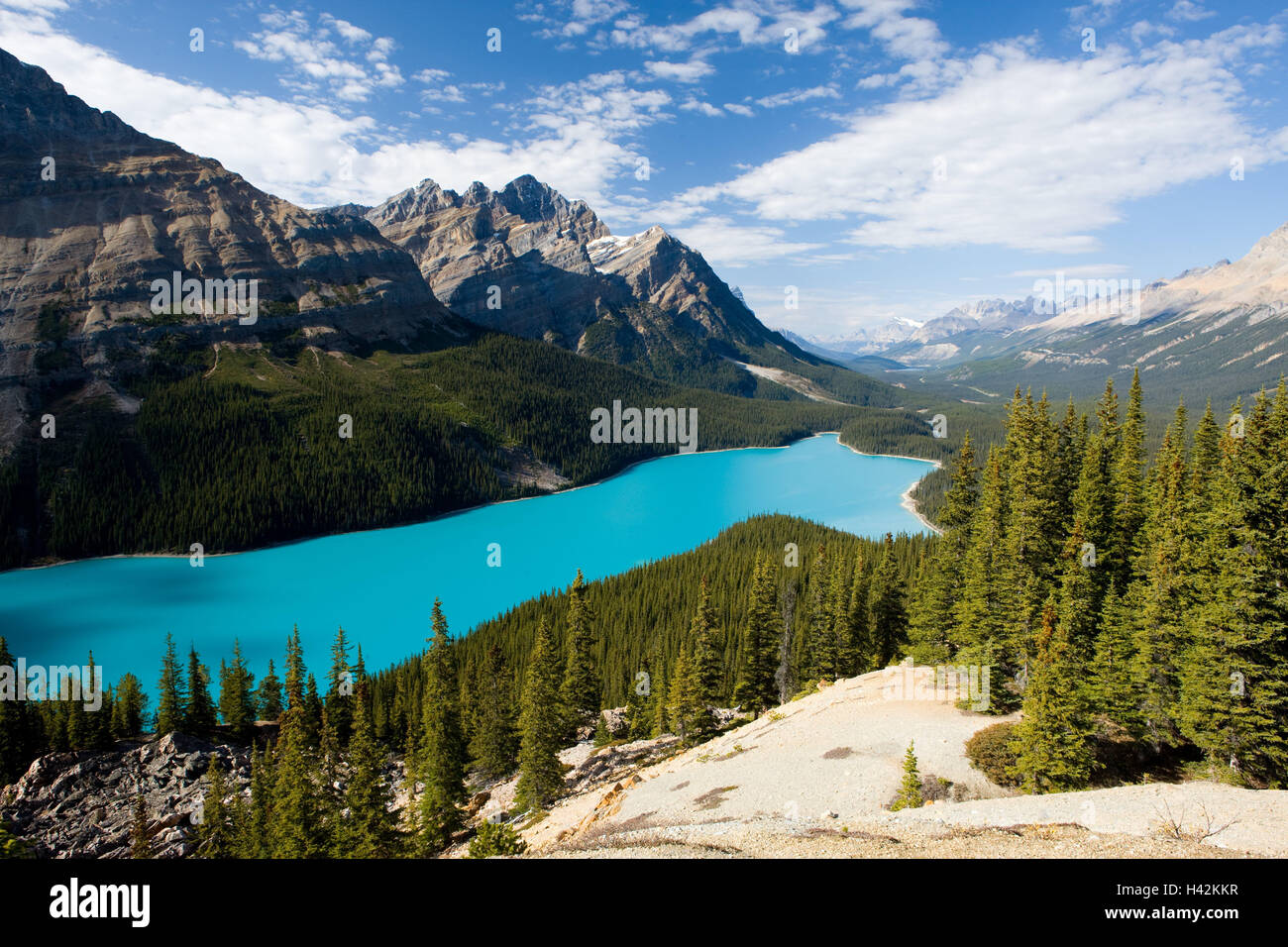 Kanada, Alberta, bundesweit Banff Park, Peyto Lake, Übersicht, Herbst, Landschaft, Berge, Berglandschaft, Bergpanorama, Berge, Tal, Gebirge, Suche, Ansicht, Ansicht, Türkis, Hill, Herbst Färbung, herbstliche, Bergwälder, Nadelwald, Gewässer, Wald, See, Wasser, Idylle, Natur, Breite, Abstand, niemand, bewölkter Himmel, Stockfoto