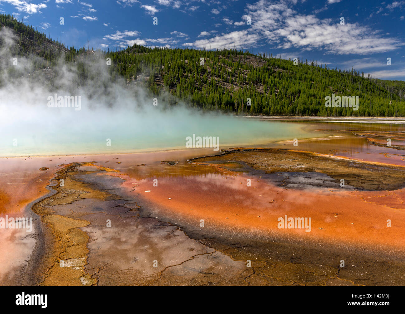 Yellowstone-Nationalpark, Wyoming; Muster der orange thermophilen (Algen) im warmen Wasser Abfluss von Grand Bildobjekte Frühling Stockfoto