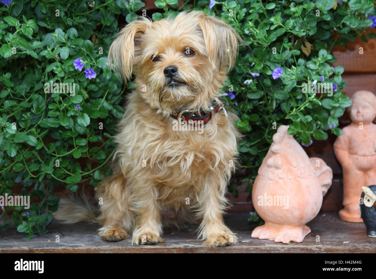 Bank Hybrid Hund Blumen Ton Figuren Garten Holz Bank