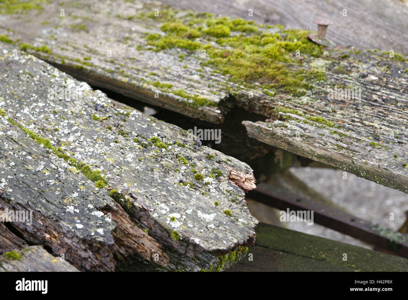 verwitterte Holz, detail Stockfoto