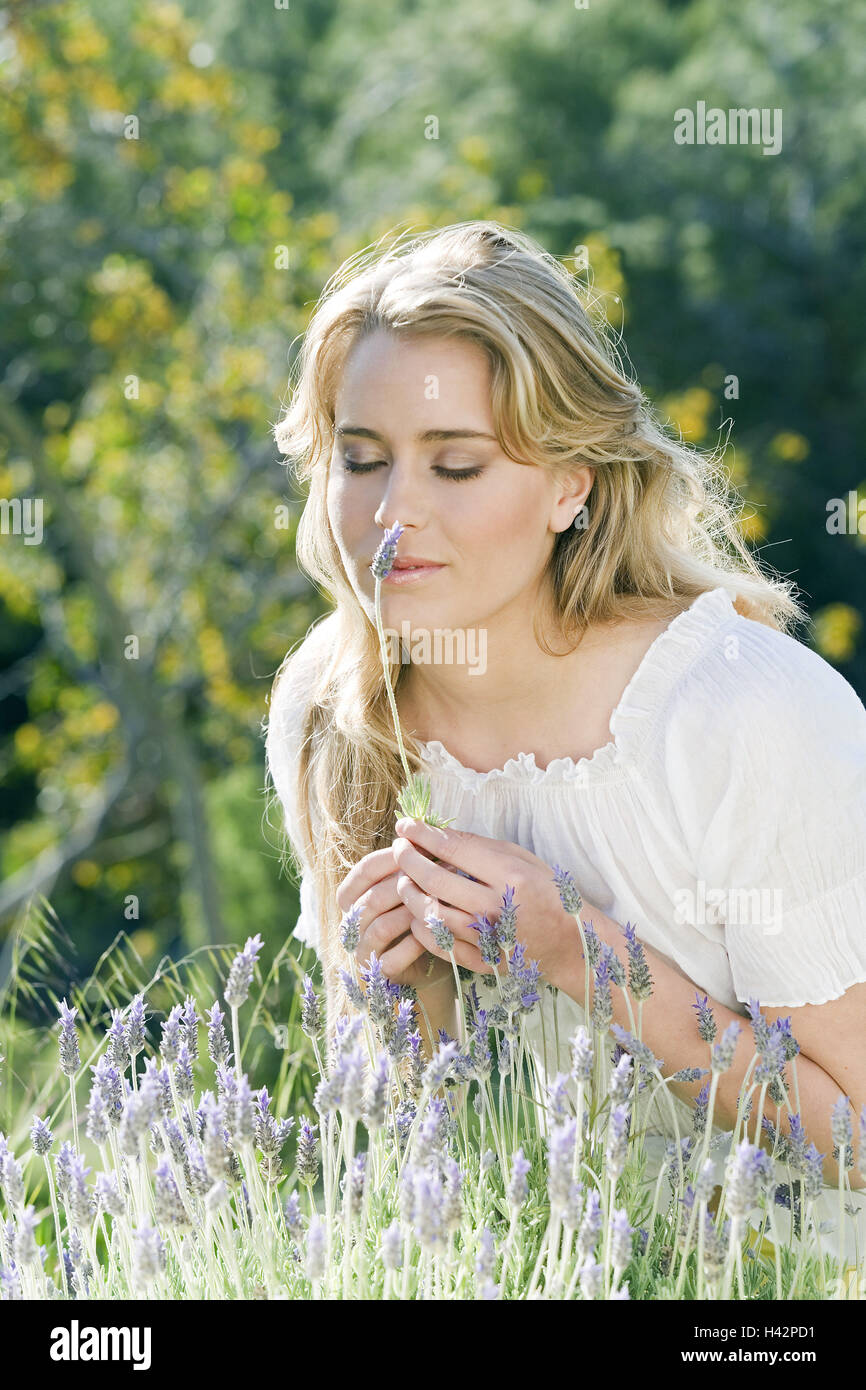 Frau, jung, Lavendel, Geruch, halbe Porträt, Stockfoto