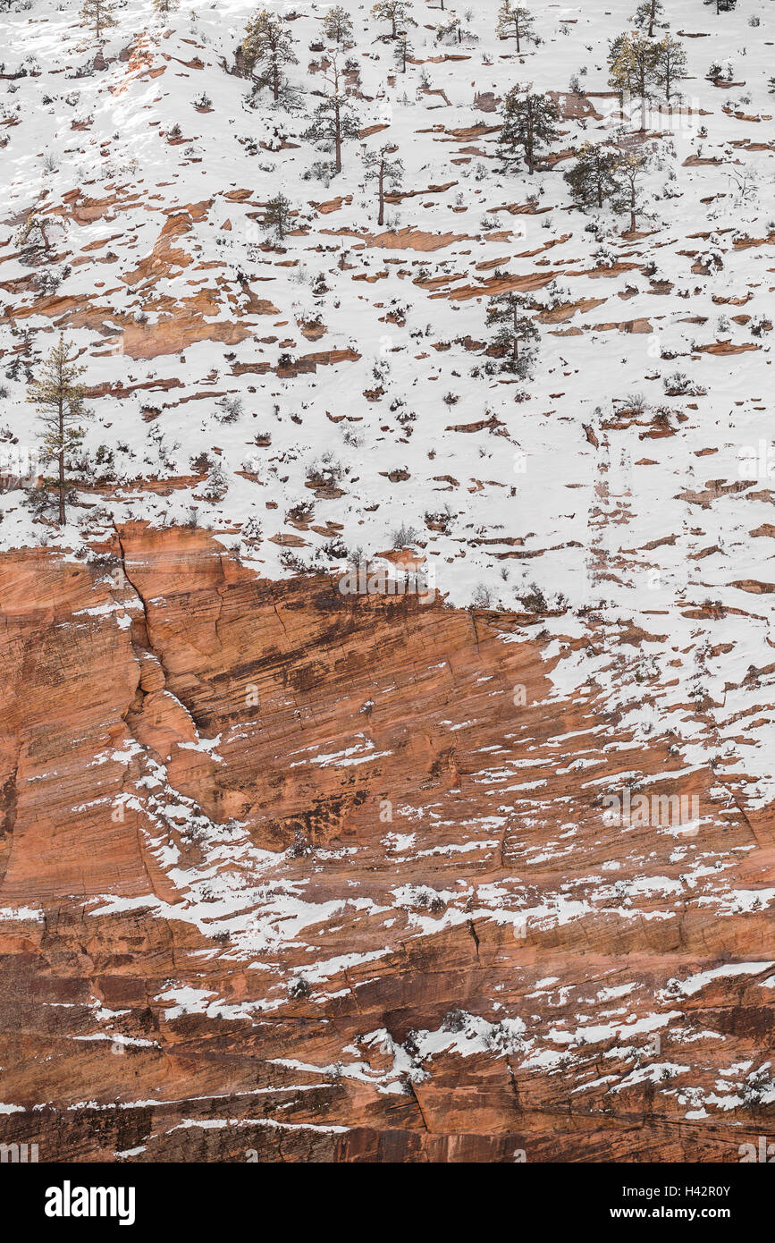 Schnee bedeckt die roten Felsen von Zion National Park in Utah Stockfoto