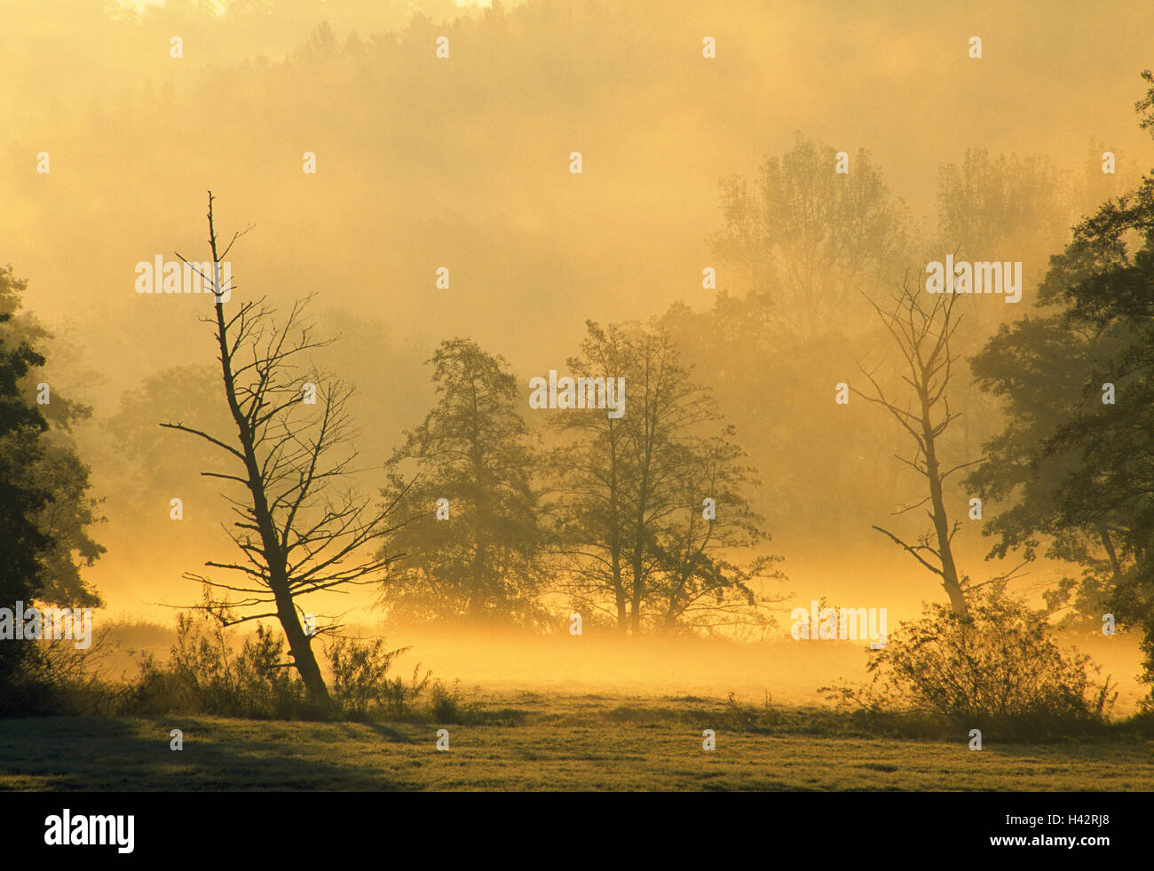 Deutschland, Baden-Wurttemberg, Dorf Alf, Leintal, Stockfoto