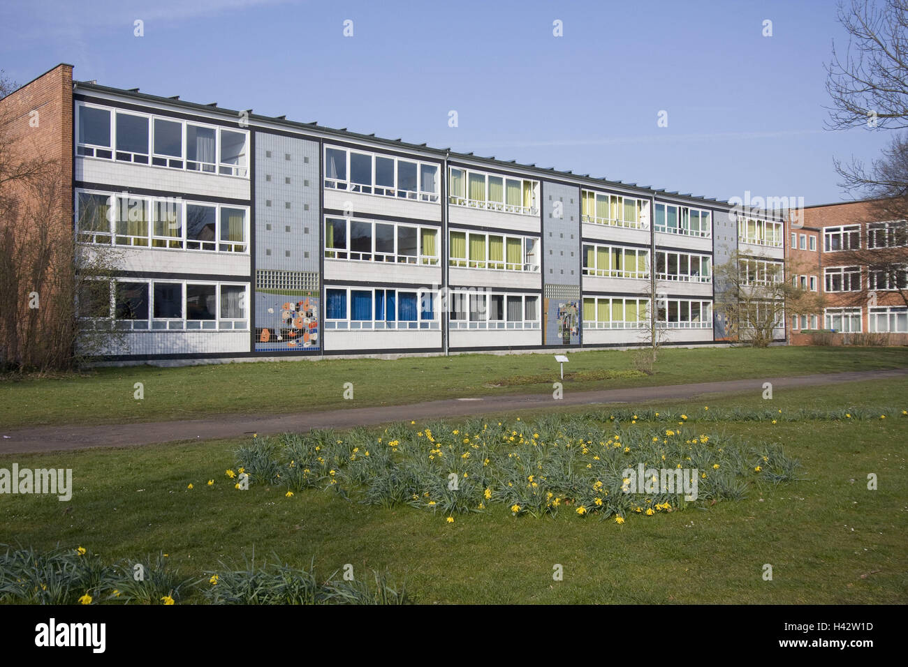 Deutschland, Niedersachsen, Hannover, Gustav Stresemann Schule, Schule, Schule, Gebäude, Flachbau, Struktur, Schrott Ansicht, Fassade, Mittelschule, Gymnasium, Symbol, Schulbildung, Pisa-Studie, Bildung, Bildungseinrichtung, 60. jährlichen Bau, Garten, Blumen, Narzissen, Frühling, Gustav Stresemann Gymnasium Stockfoto