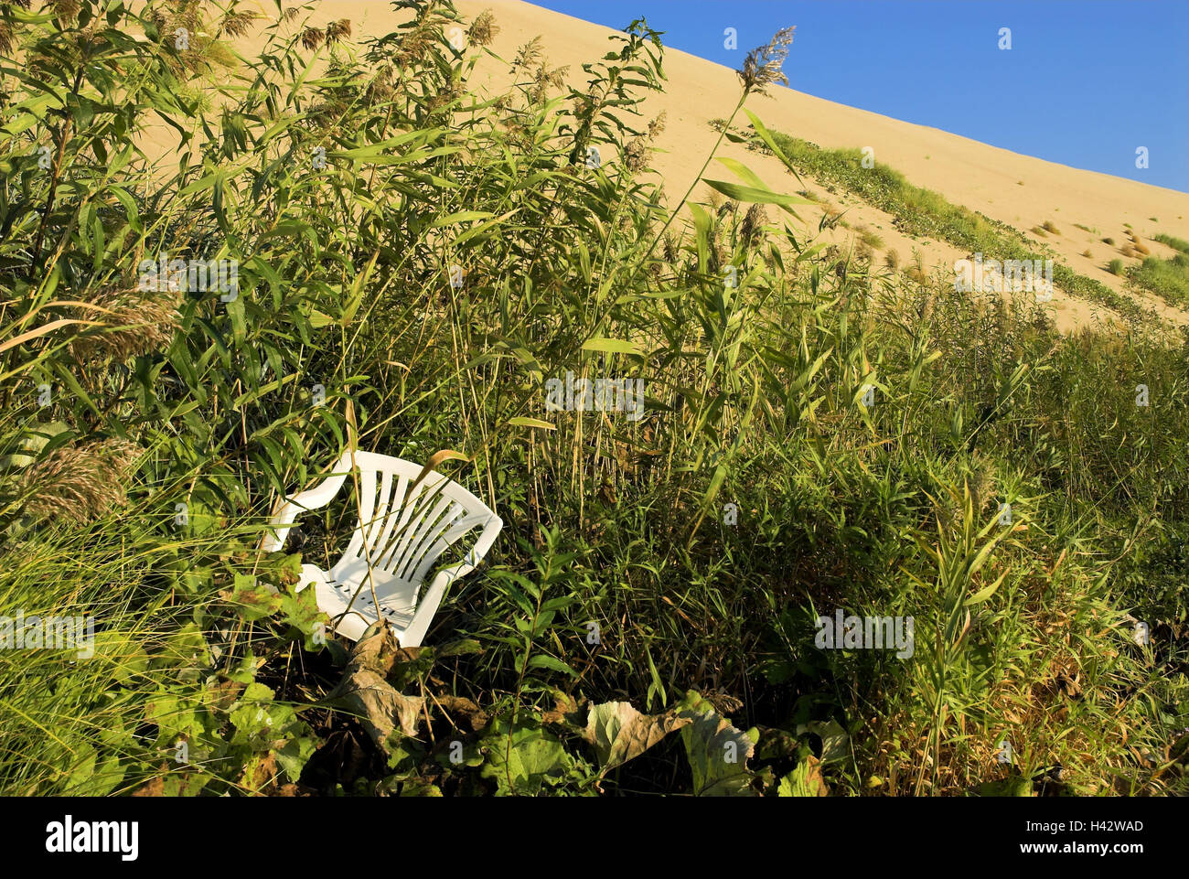 Sanddüne, Pflanzen, Stuhl, Litauen, Nida, "große Düne", National Park Resort breite Bucht Gesundheitsbar, Stockfoto