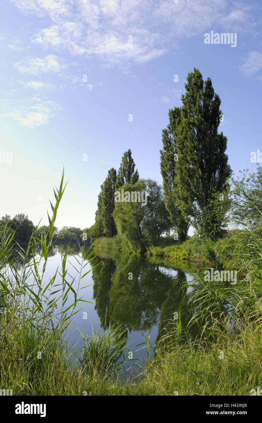 Deutschland, Bayern, Unterfranken, Feld Grafenrhein, Altmain, Stockfoto