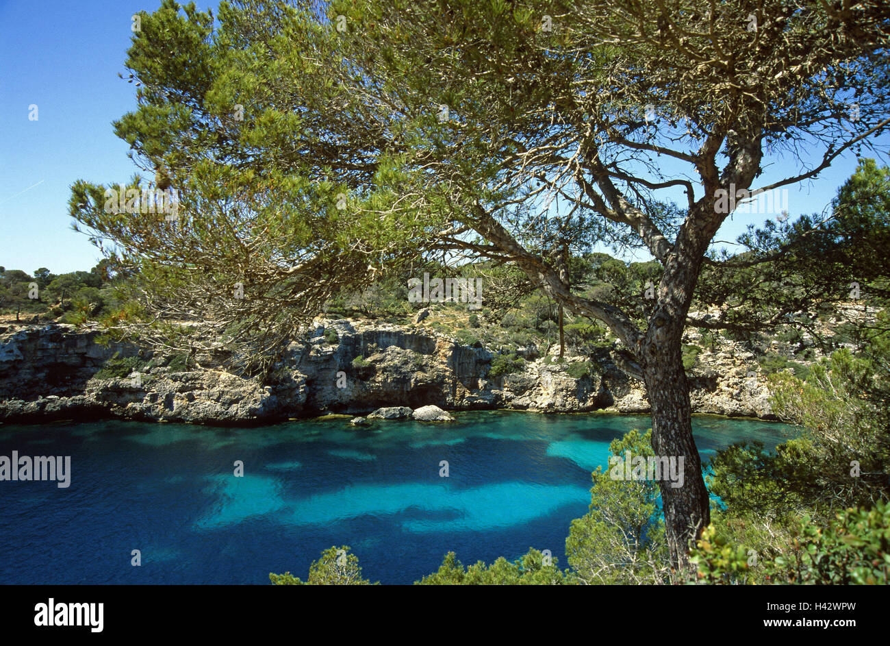 Spanien, die Balearen Insel Mallorca, Cala Pi, Galle Bucht, Insel der Balearen, Insel, Mallorca, Bucht, Galle-Marge, Bootsgaragen, Kiefer, Kiefer, Baum, Bay, niemand, Landschaft, Natur, Stille, Ruhe, Wasser, Türkis, klar, Stockfoto