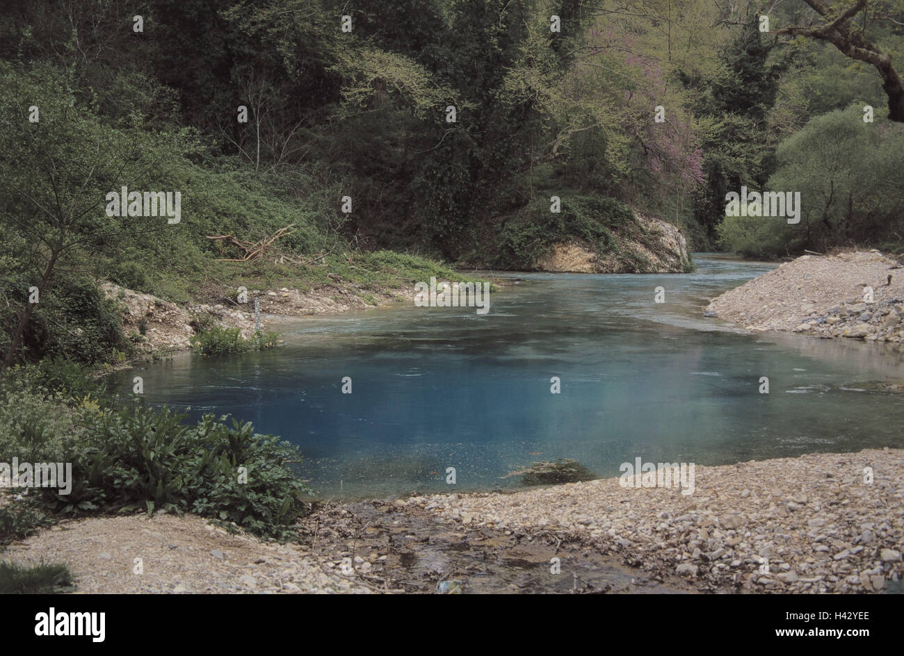 Albanien, Region Sarande, Quelle, "blaues Auge", Europa, Balkan-Halbinsel, Südalbanien, "Syri ich kalt", Ziel, Ort von Interesse, Wasser, Natur, Idylle, Holz, Vegetation Stockfoto