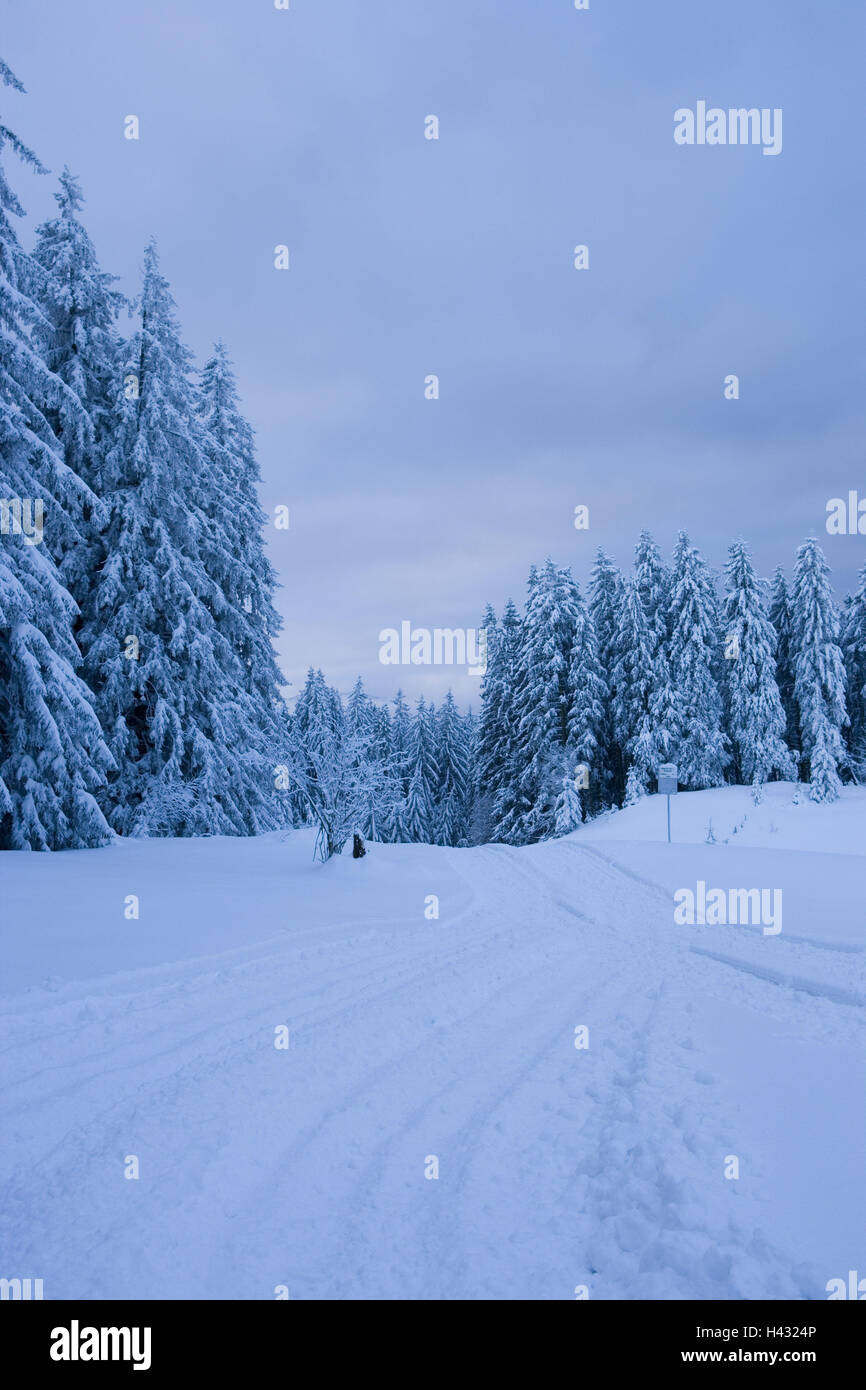 Österreich, Vorarlberg, Bregenz, Wertpapiere, Bregenzer Holz, Winterlandschaft, Stockfoto