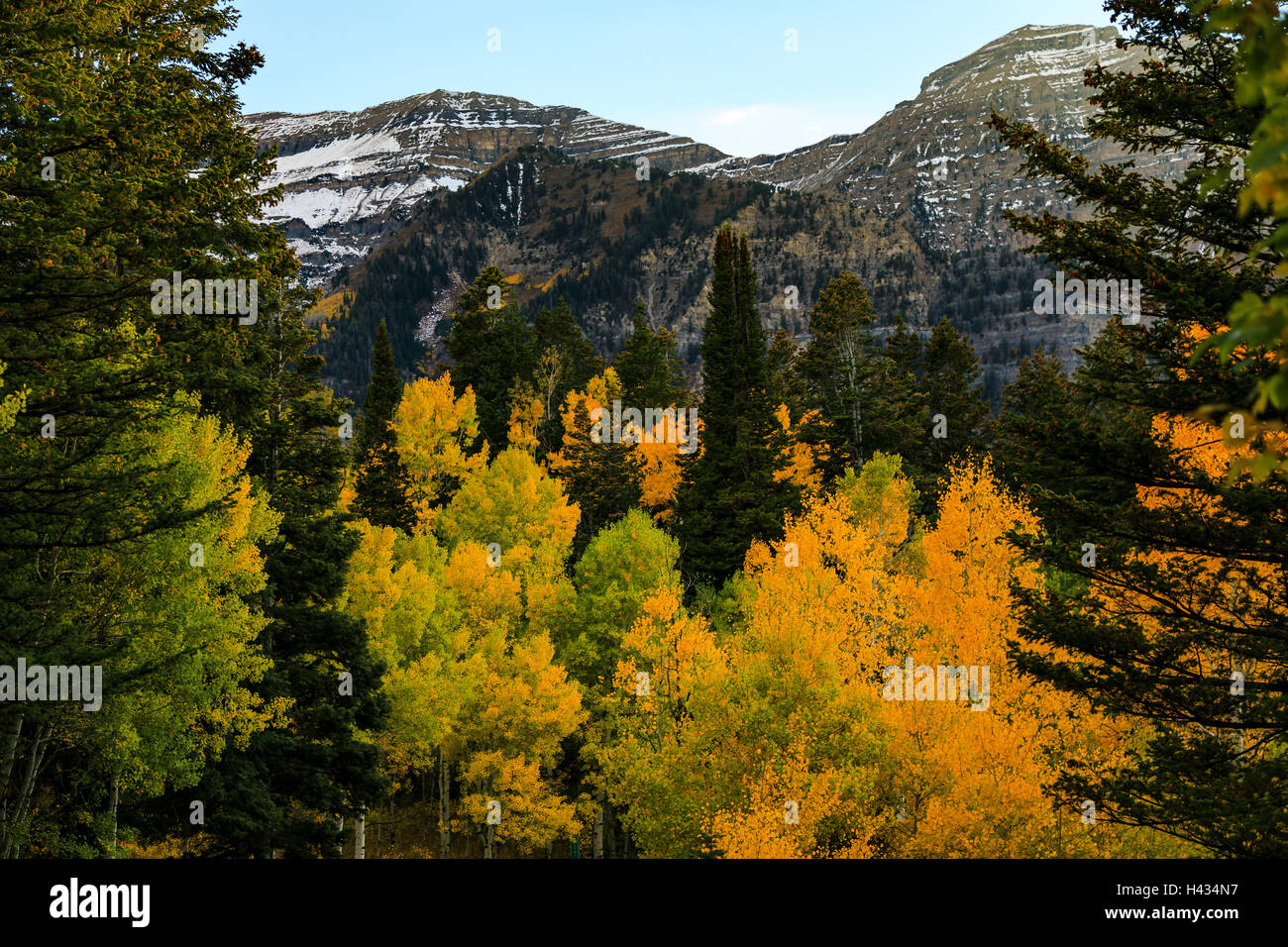 Dies ist ein Blick auf die Farben des Herbstes entlang der Alpine Loop Scenic Byway mit dem nördlichen Ende des Mount Timpanogos Stockfoto