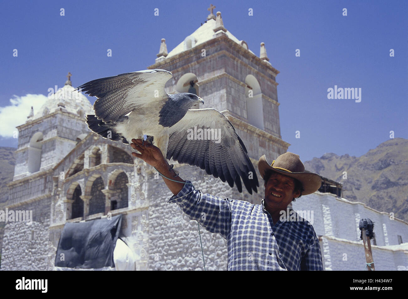 Peru, Canon de Colca, Mann, Pflege, Lächeln, Arm, Adler, sitzen, halten, kein Model-Release, Südamerika, Ziel, Ort von Interesse, Person, Ort, Peruanisch, außen, Kopfbedeckungen, dunkelhäutige, Tier, Vogel, Vogel Beute, Stockfoto