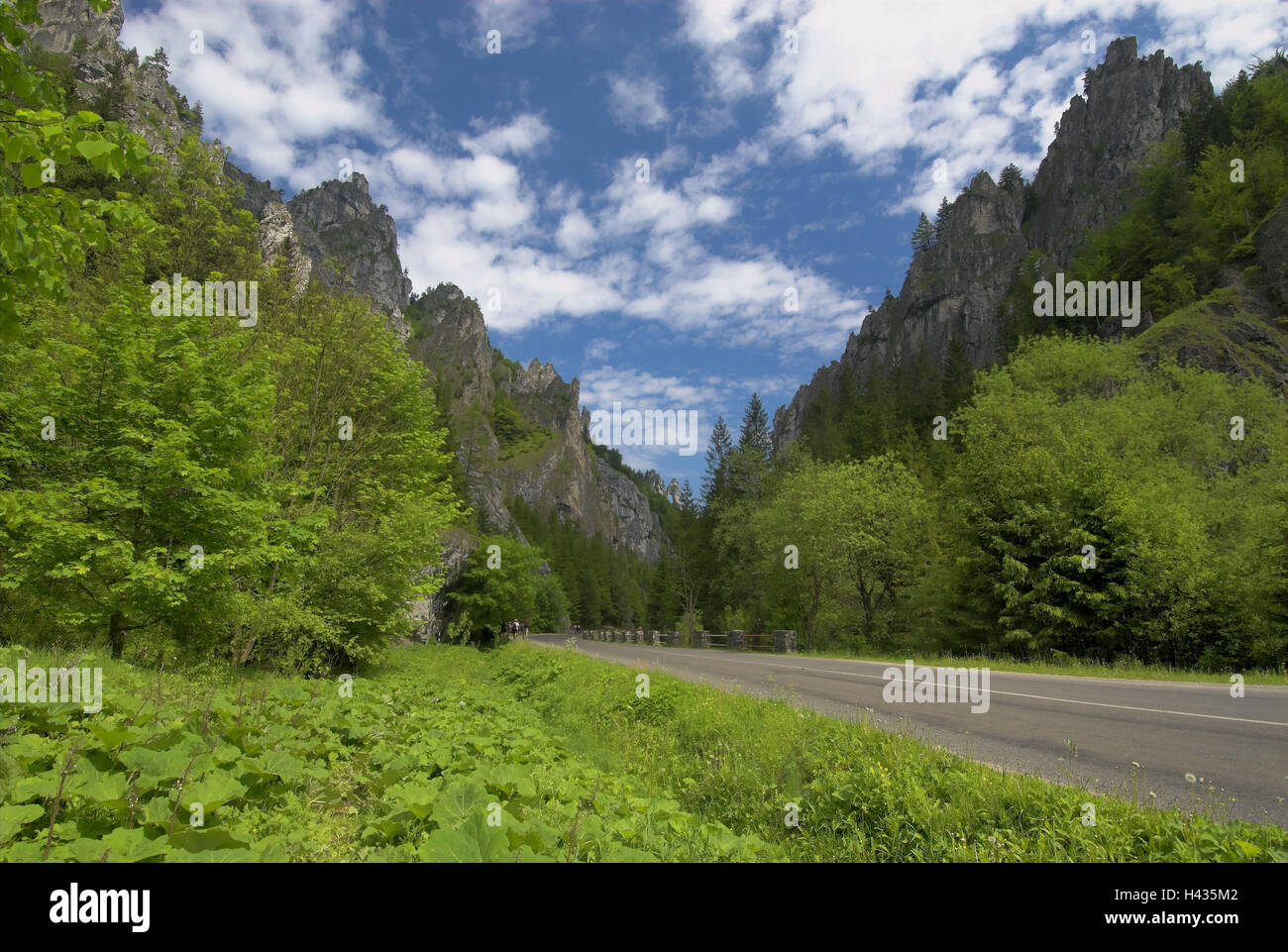 Galle-Formationen, Straße, Stefanova, Stefanova, national park 'Mala Fatra", Provinz Zilina, Slowakei, Stockfoto