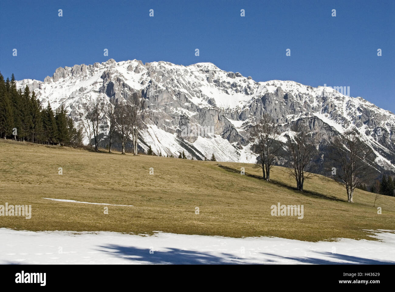 Österreich, Steiermark, Ramsau in der Dachstein, Berglandschaft, Schnee Reste, Saison, Winter, Frühling, Dachsteingebirge, Berge, Berge, Landschaft, Bäume, Wiese, Schnee, sonnig, draußen, menschenleer, Stockfoto