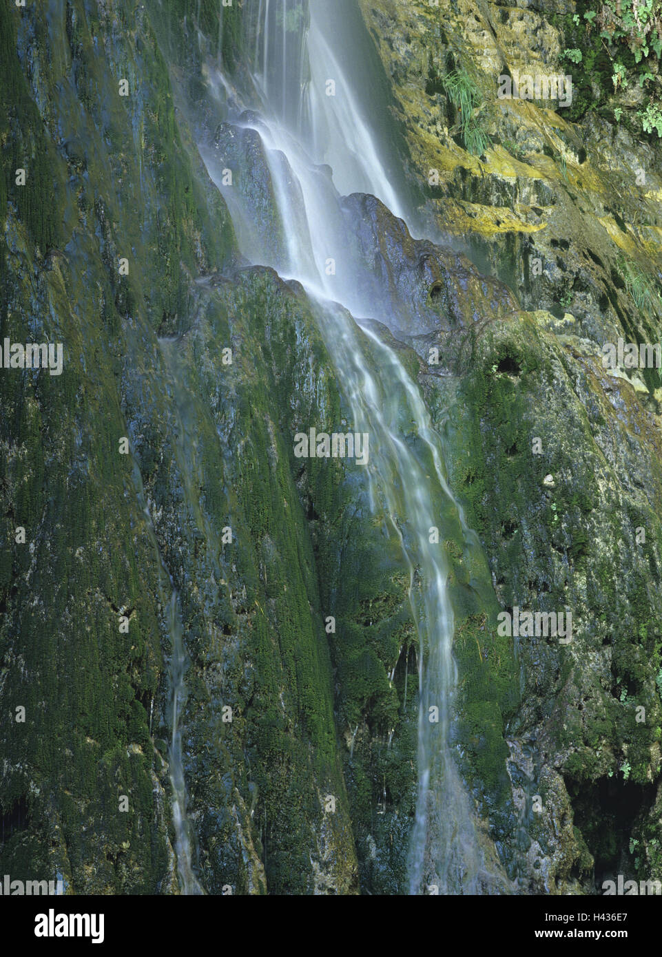 Wasserfall, Wasser, Strom, Galle, Stein, Detail, Bewegungsunschärfe, klar, Umgebung, natürlich, frisch, Ökologie, sauber, rein, Sauberkeit, niemand, Moos, grün, Stockfoto