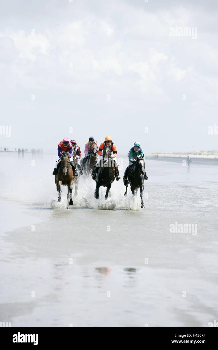 Deutschland, Niedersachsen, Cuxhaven, Watt, das Pferderennen, Gegenlicht, Norddeutschland, Strand, Wasser, seicht, Event, Galopp Rennen, Rennen, Event, Rennpferde, Pferde, Jockeys, Fahrt, Bewegung, Pferderennen, Attraktion, Wettbewerb, Reiten, Watt Rennen Stockfoto