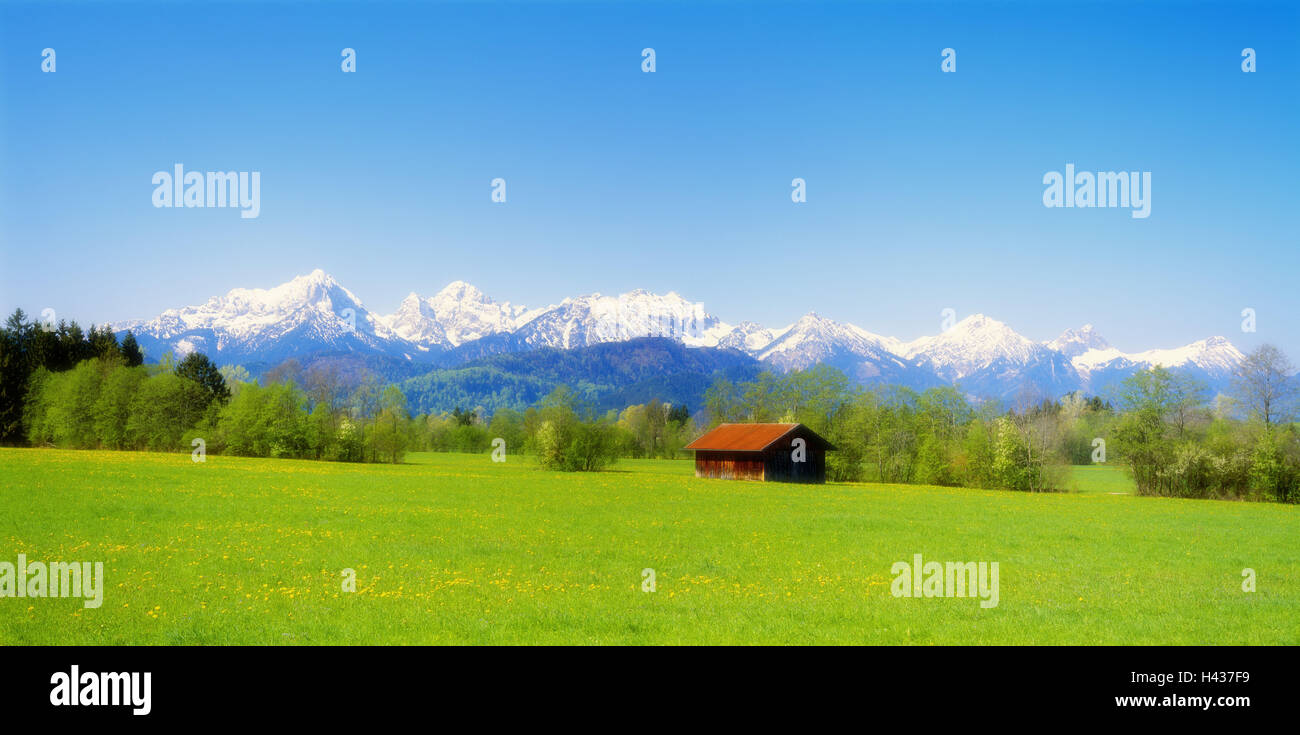 Frühling, Wiese, Tannheimer Berge, der Schwan Station Region, Allgäu, Bayern, Deutschland, Stockfoto