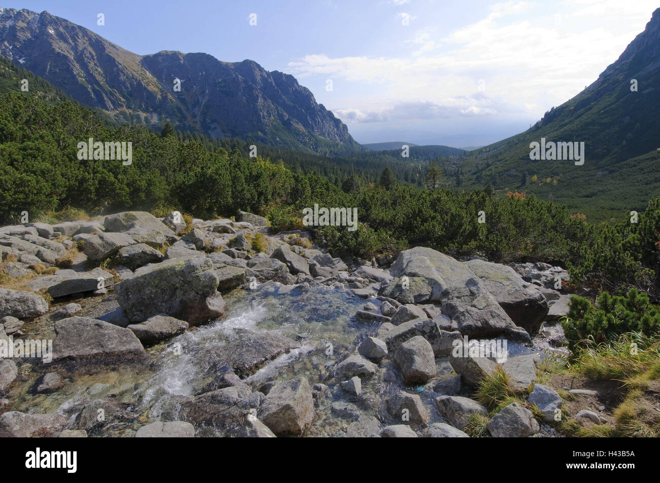 Mountain Stream Hincov Polok, Valley View, Strbske Pleso, Nationalpark der hohen Tatra, Presovsky Kraj, Slowakei, Stockfoto