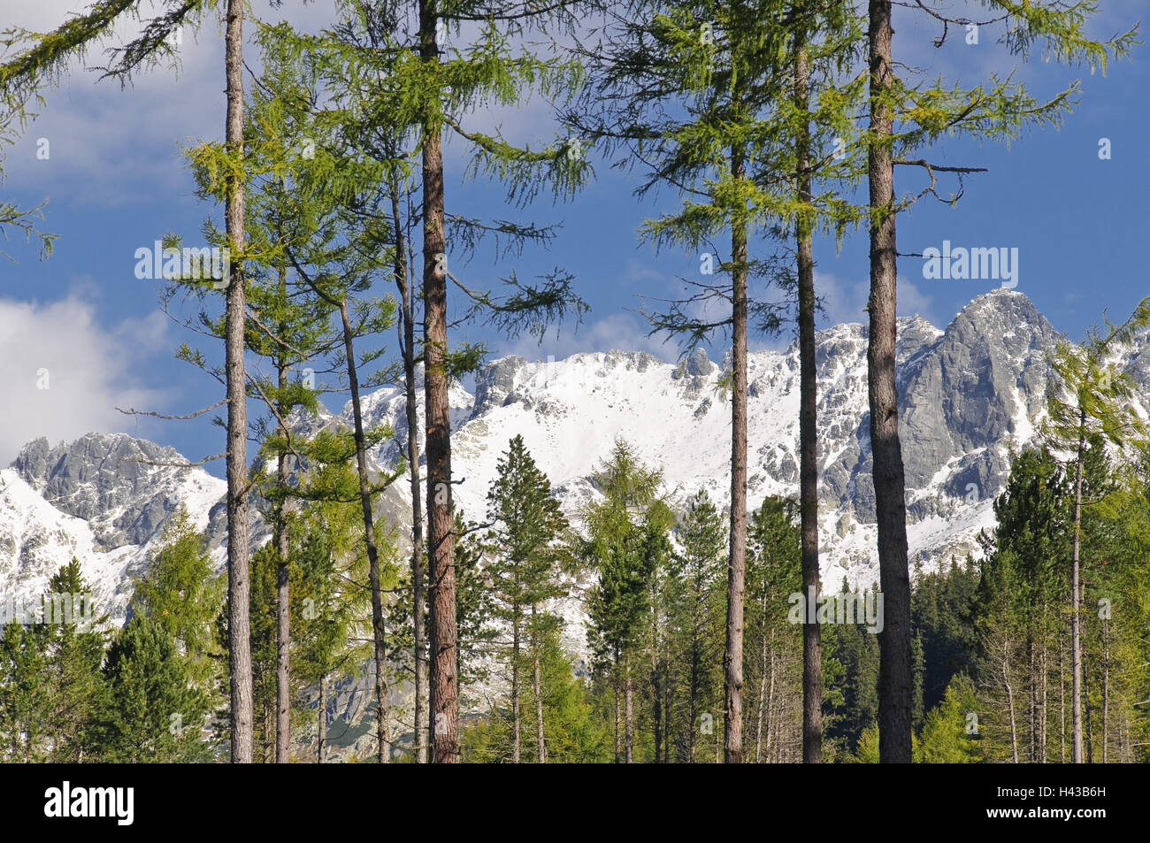 Berg-Kette der hohen Tatra, Strbske Pleso, Vysoká, Nationalpark der hohen Tatra, Presovsky Kraj, Slowakei, Stockfoto