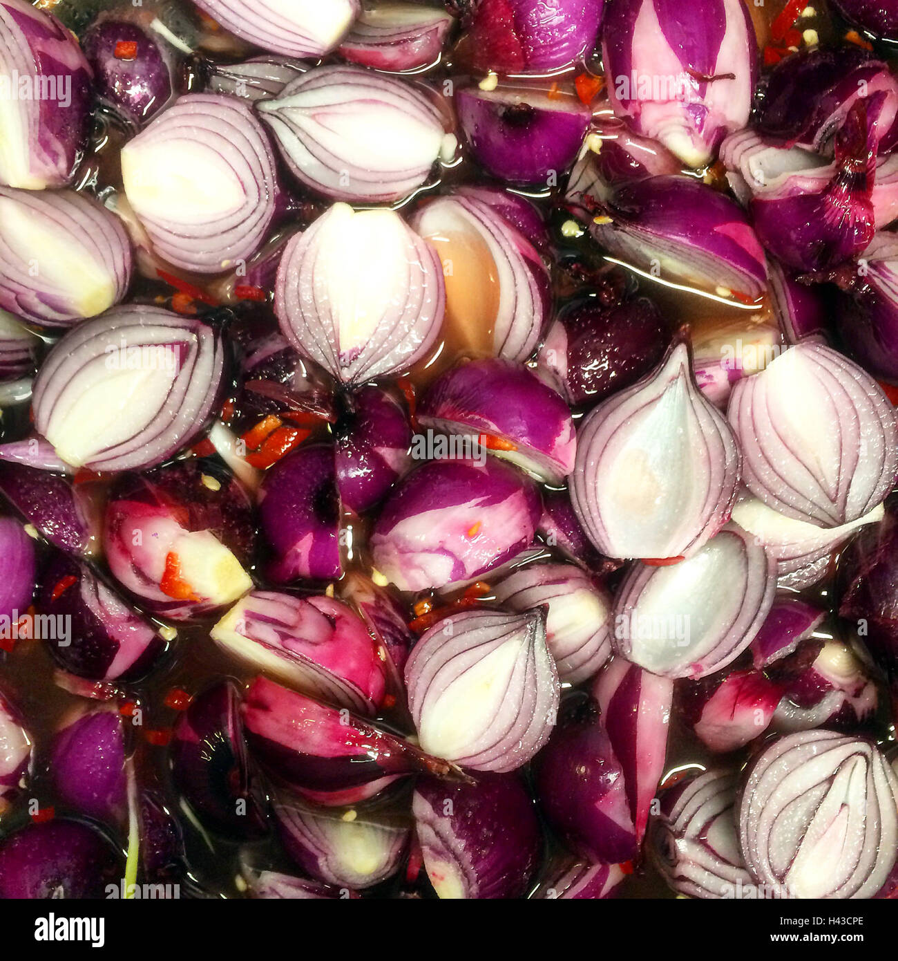 Eingelegte Rote Zwiebeln mit chili Stockfoto