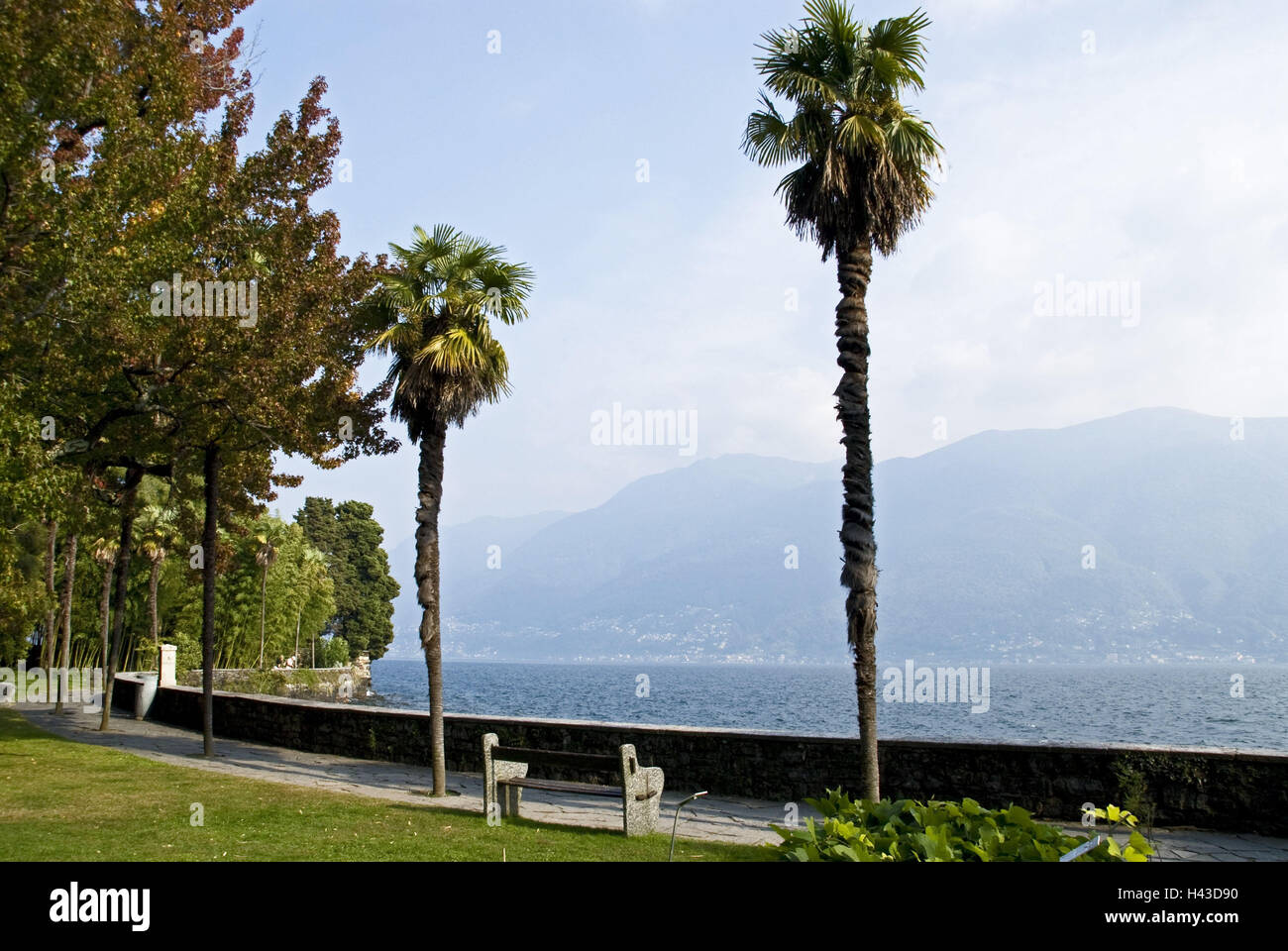 Schweiz, Ticino, Lago Maggiore, Isole Tu Brissago, Isola Grande, Uferpromenade, Stockfoto