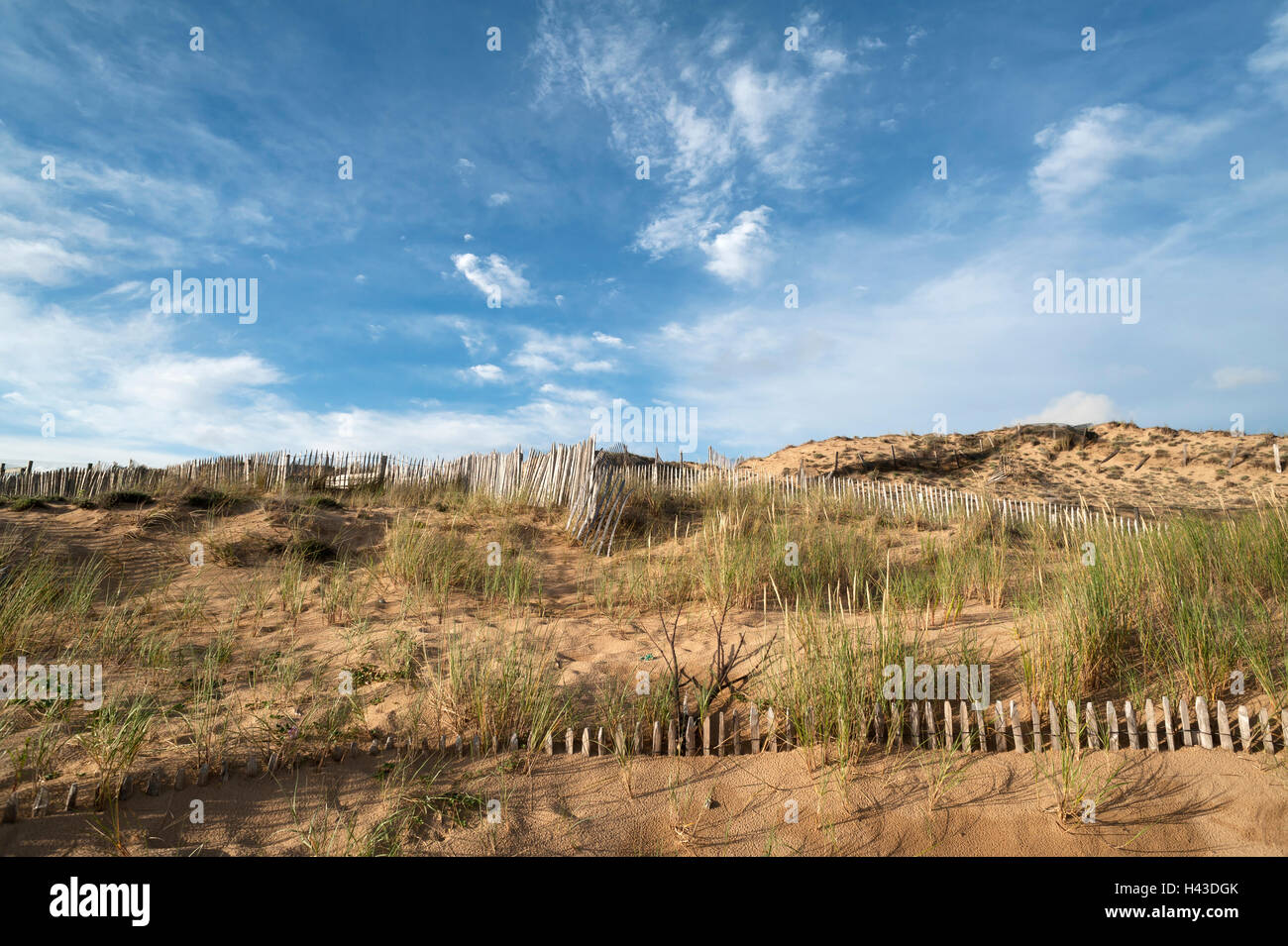 Zäune zum Schutz der Dünen an der Atlantikküste, La Tranche-Sur-Mer, Frankreich Stockfoto