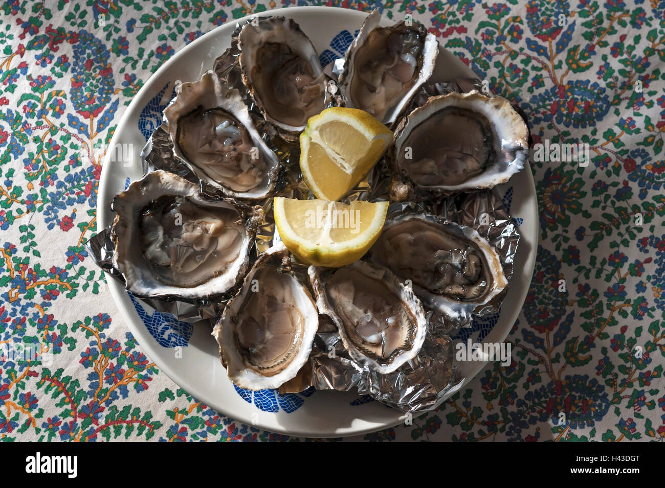 Frische Austern mit Zitrone, Atlantikküste, Frankreich Stockfoto