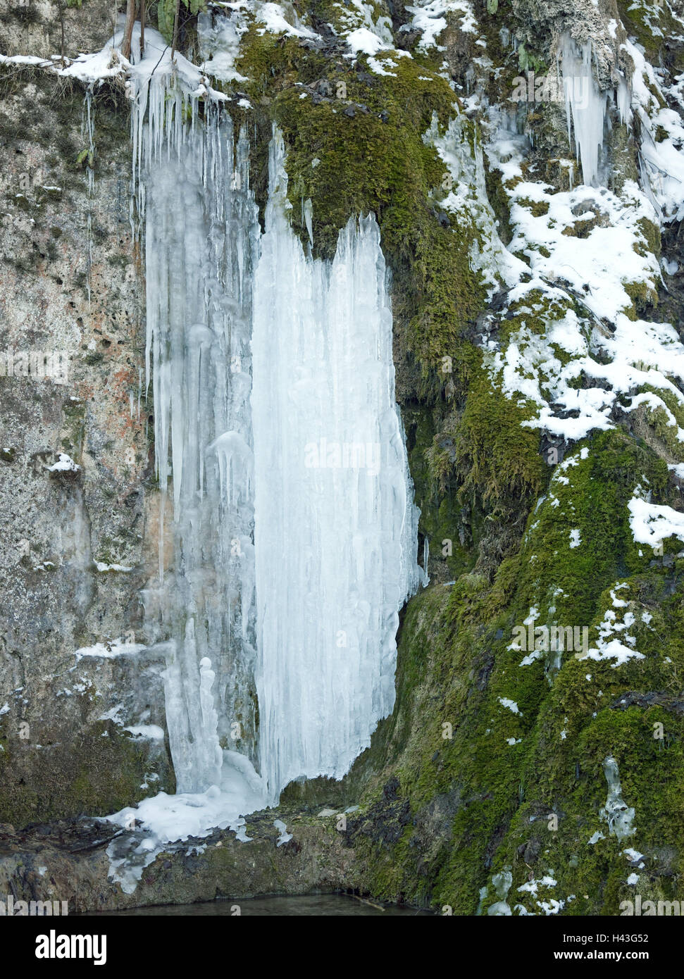 Deutschland, Baden-Wurttemberg, Bad Urach, Gütersteiner Wasserfall, Eiszapfen, Saison, Winter, Eis, Eis-Sache, Eiszapfen, Natur, Bemoost, Moos, Moos bedeckt, Felsen, Wasser, gefroren, iceboundly, Felswand, Natur, schwäbische Albtraum Stockfoto