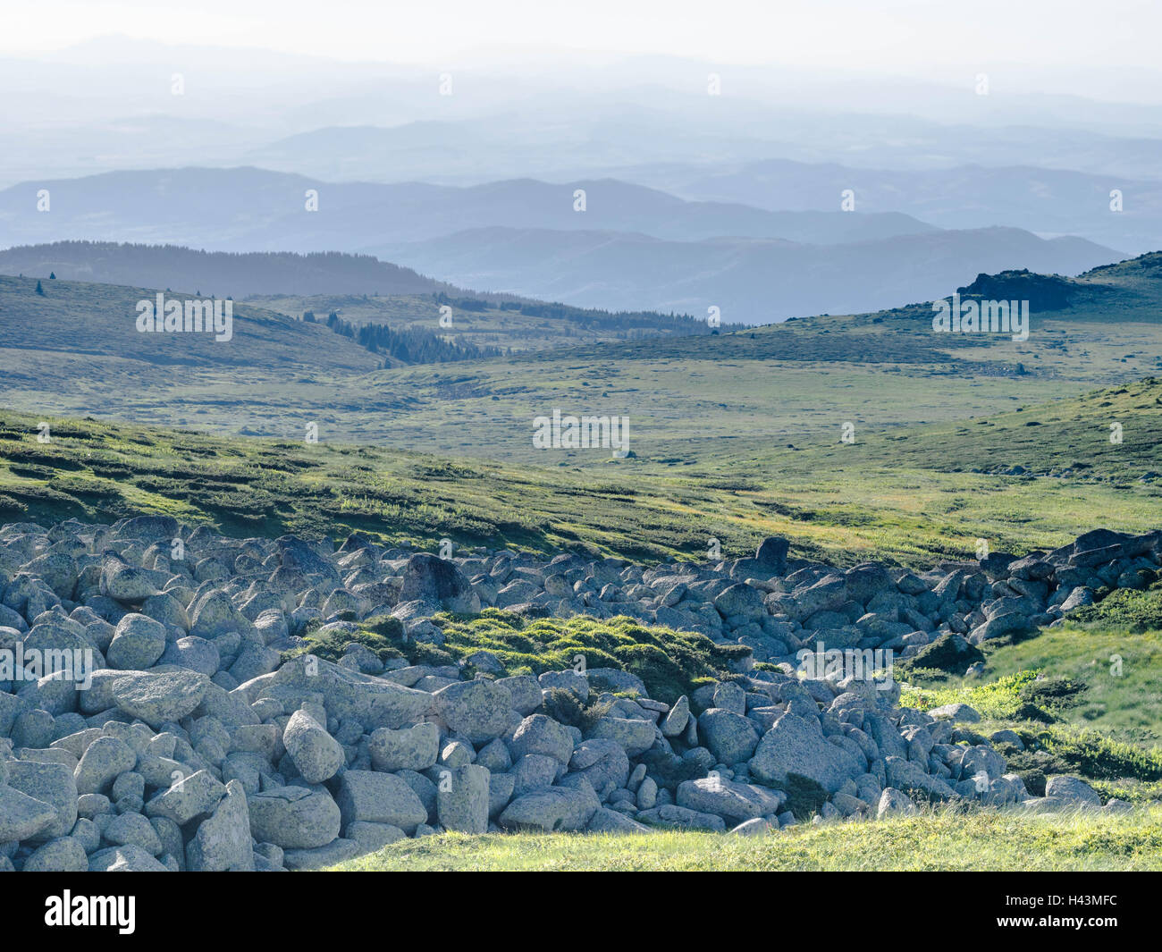 Vitosha Nationalpark, Sofia, Bulgarien Stockfoto