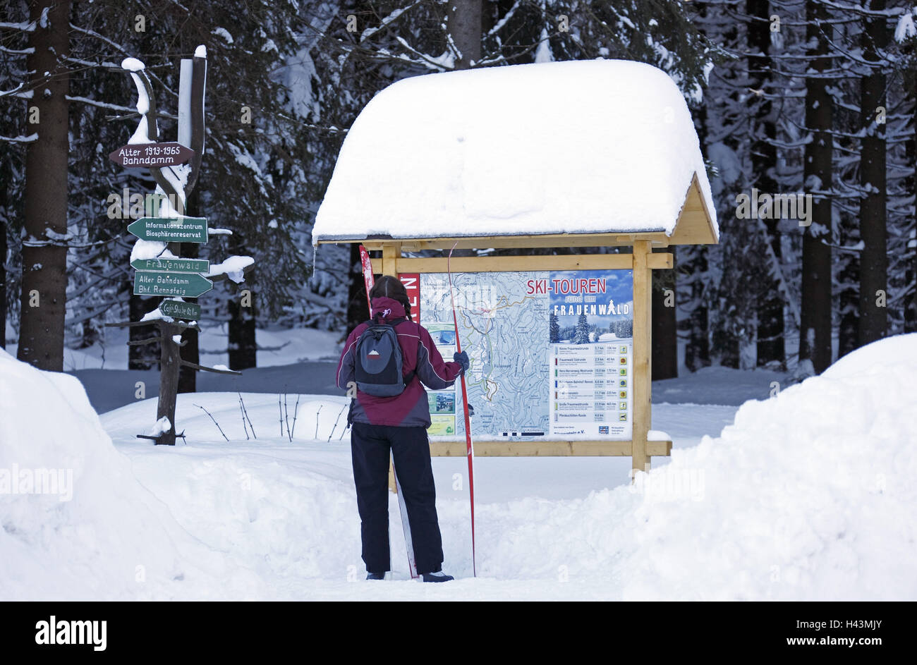 Racing, Teig, Holz, Schnee, Ski-Langläufer, Karte reisen, Stockfoto