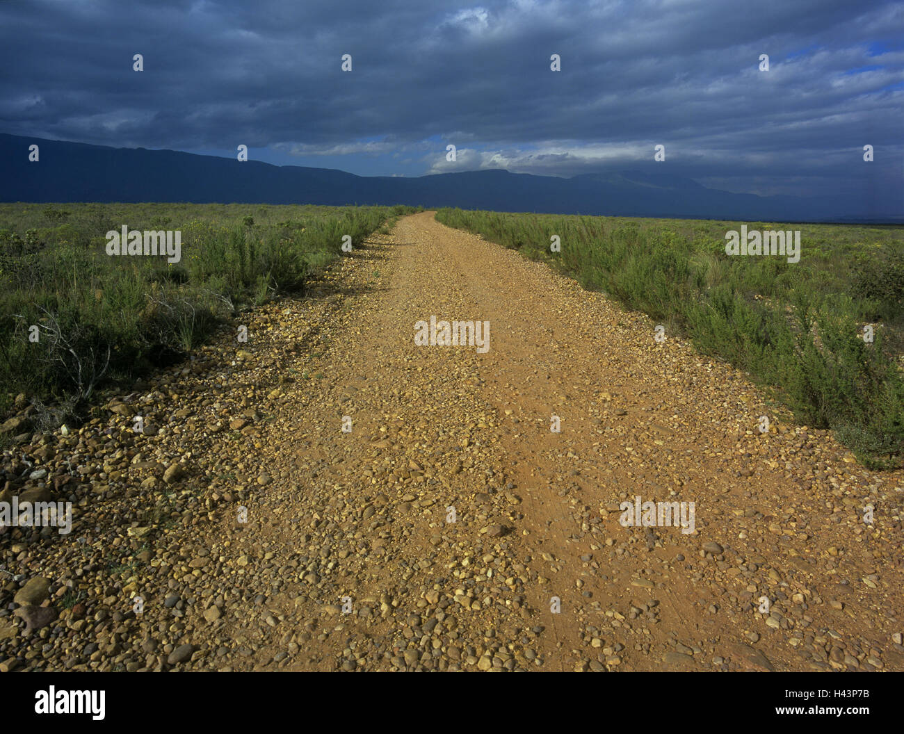 Kenia, Bereich Landschaft, Kies Weise, Bergkette, Gewitterstimmung, Afrika, Natur, Landschaft, Rasen, Vegetation, Straße, Sandstrasse, Wolken, bewölkten Himmel, Osten, Afrika, Ausfahrt, Einsamkeit, Abgeschiedenheit, Stockfoto