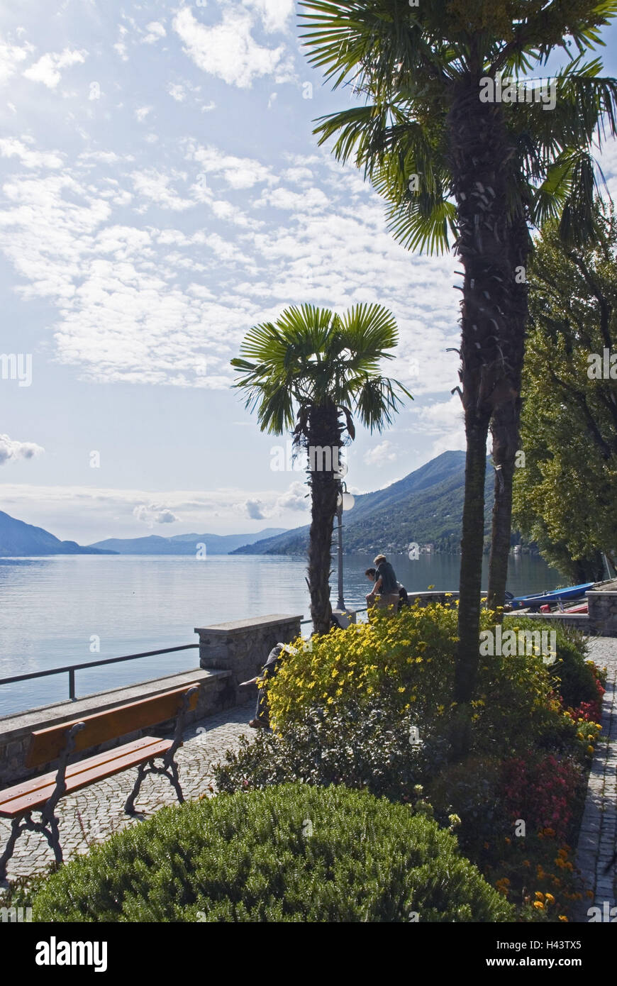 Italien, Cannero Riviera, Lago Maggiore, See, Palm, bank promenade Stockfoto