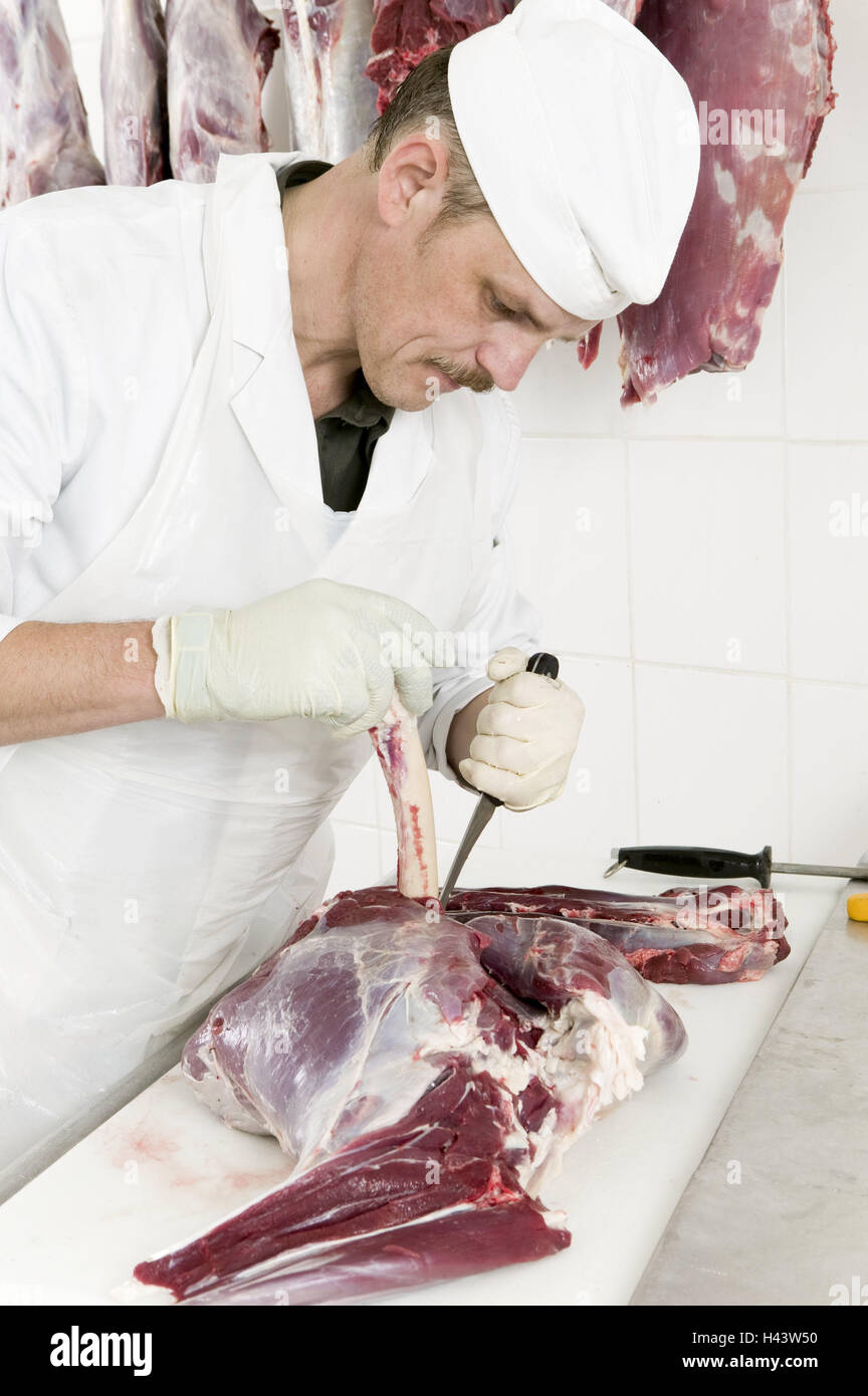 Metzger, Messer, Hirsch, zerlegen, elastischen Handschuhe, Hygiene,  Metzgerei, Rothirsch, Reh, wild Metzger, Fleisch, roh, Vorbereitung,  Person, Mann, Beruf, Arbeit, Handschuhe, wild Khlung, wilde Kammer, wilde  Hygiene bestellen, gebratenes Wildbret ...